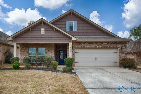 Homes For Sale - 270 Falcon Ridge Drive<br/> Madison County, New Market, AL 35761