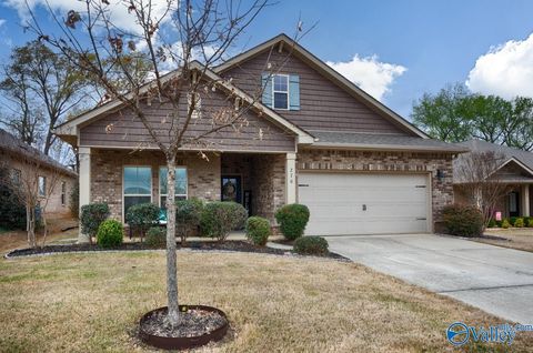 Homes For Sale - 270 Falcon Ridge Drive<br/> New Market, AL 35761