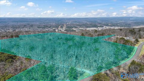 Vacant Land For Sale - 3180 Citadel Rock Road<br/> Fort Payne, AL 35967