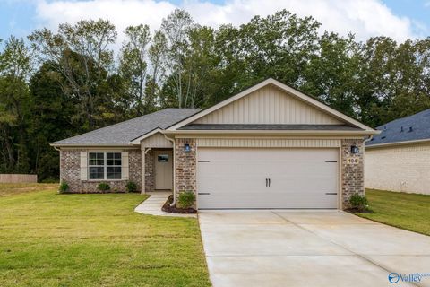Photo of 135 Domingues Avenue, Meridianville, AL 35759 (MLS # 21903696)