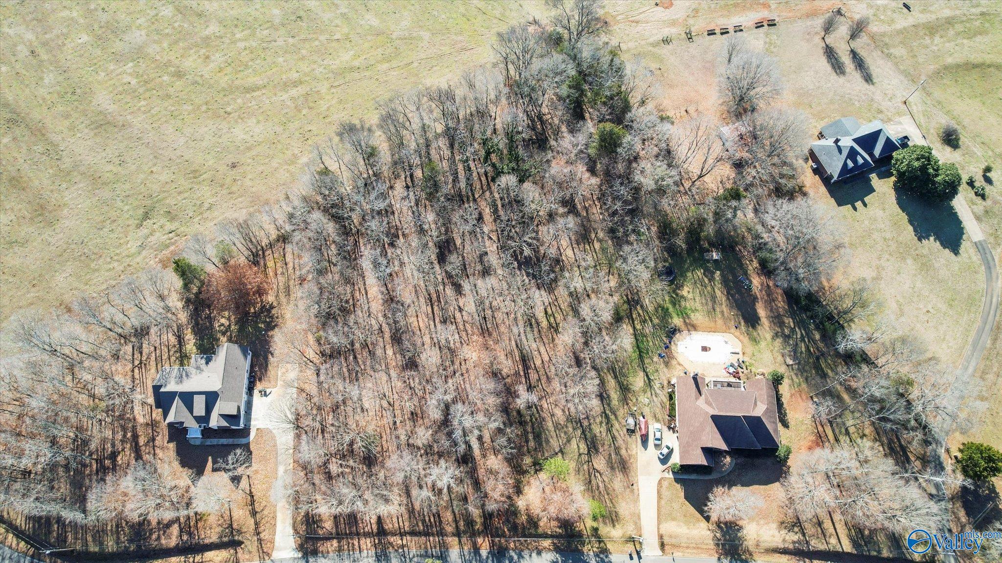 244 Poplar Springs Drive, Rogersville, Alabama image 8
