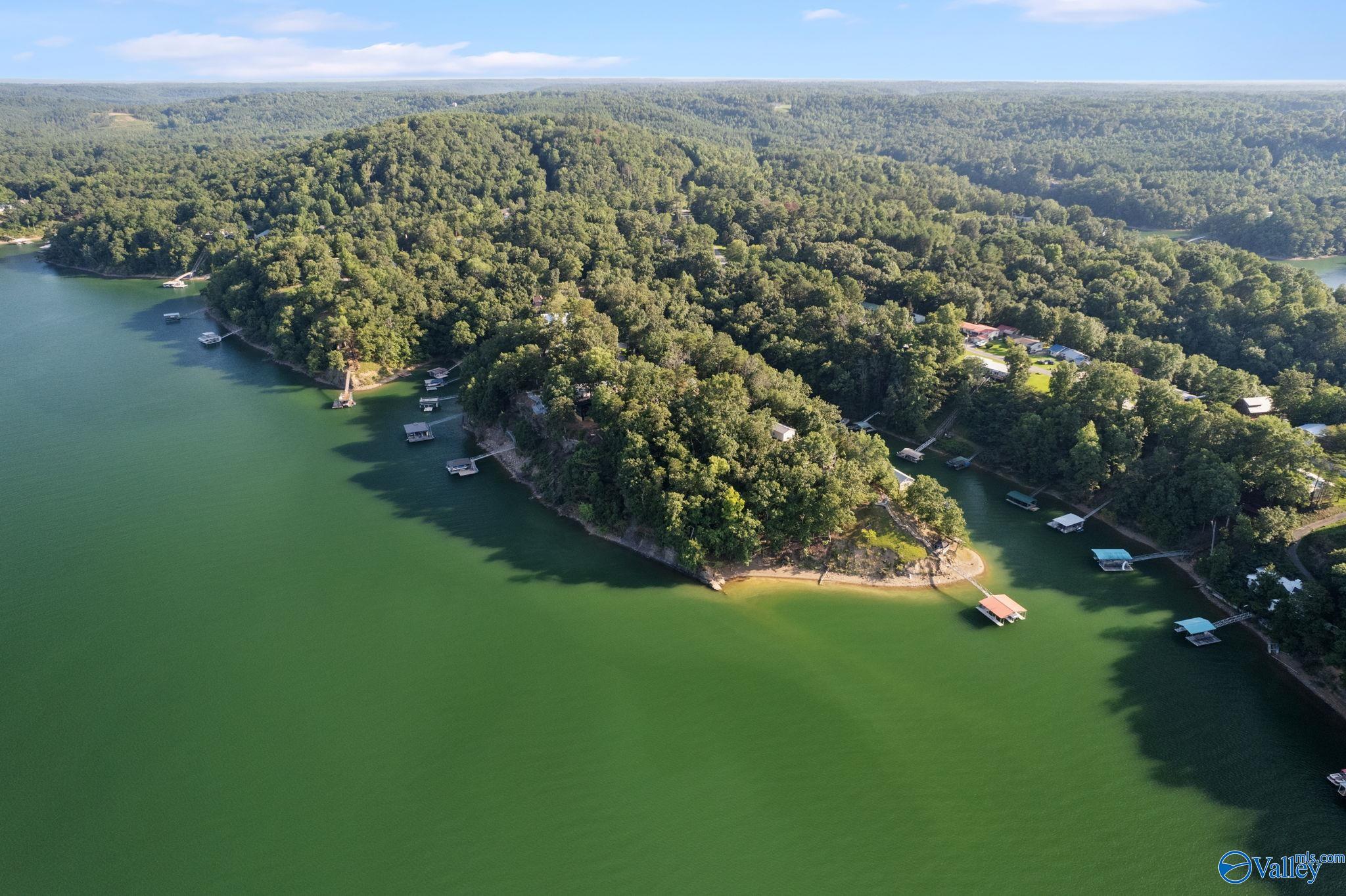 Lot 16 & 17 County Road 135, Bremen, Alabama image 13