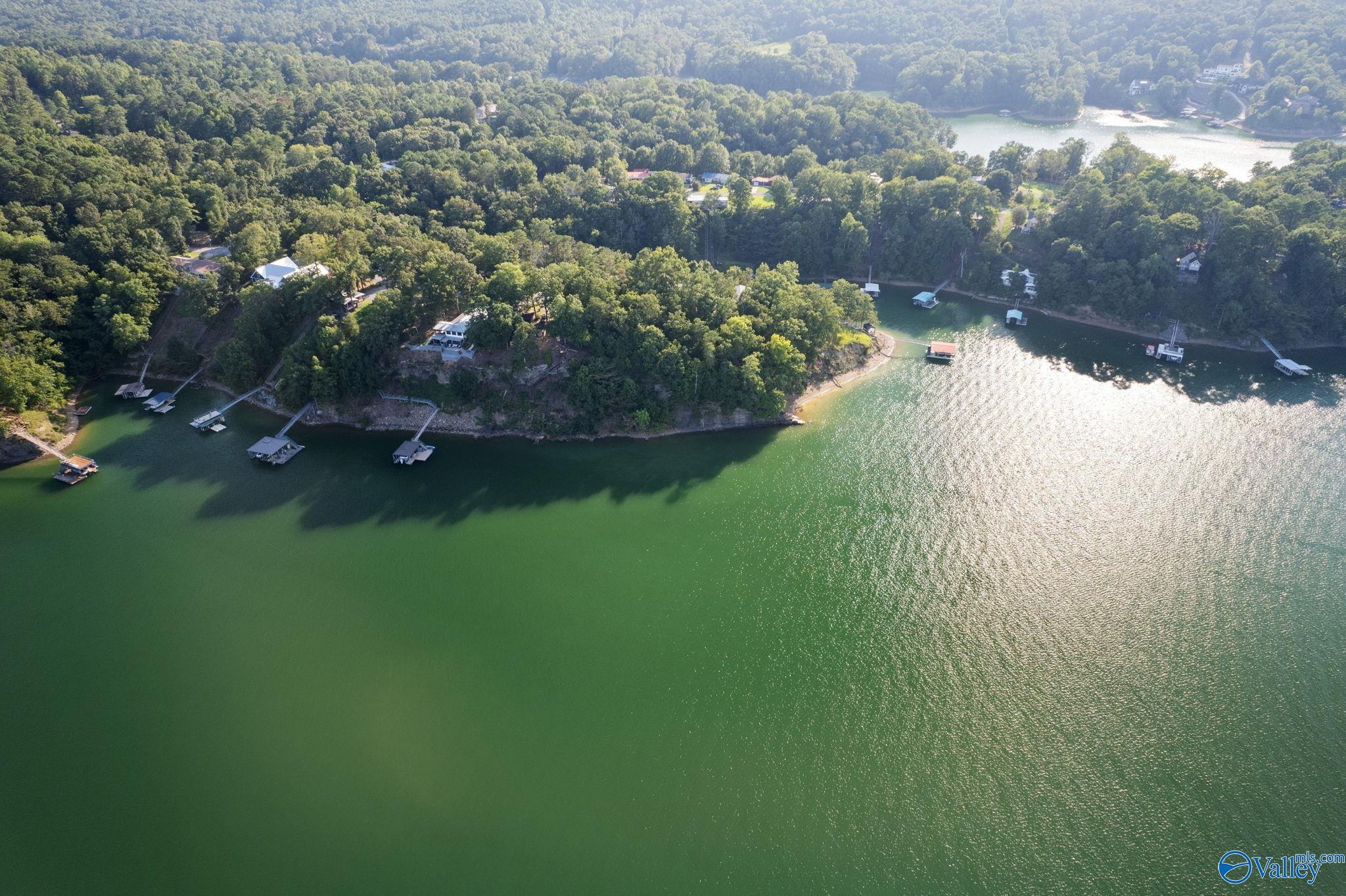Lot 16 & 17 County Road 135, Bremen, Alabama image 15