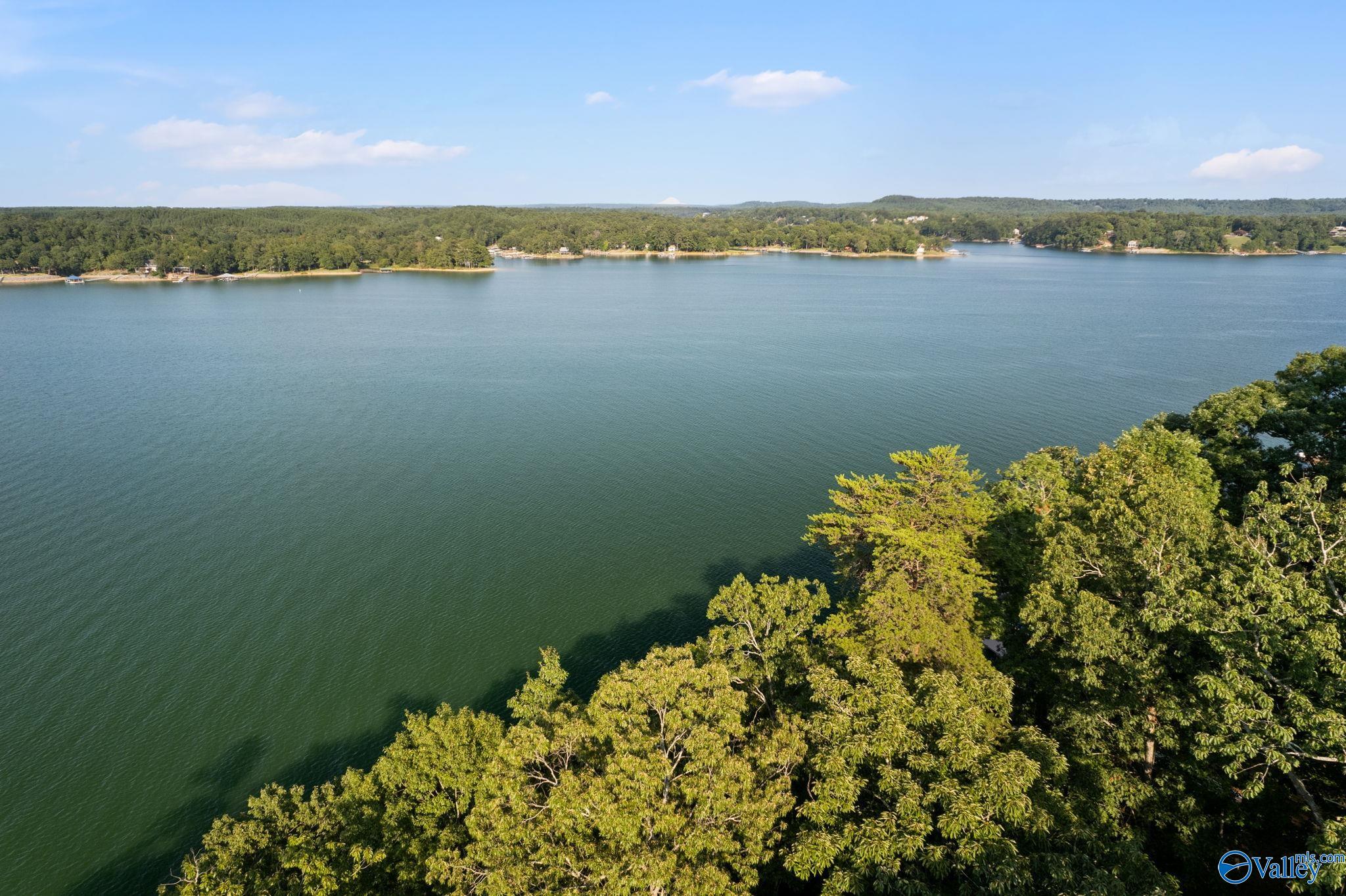 Lot 16 & 17 County Road 135, Bremen, Alabama image 34
