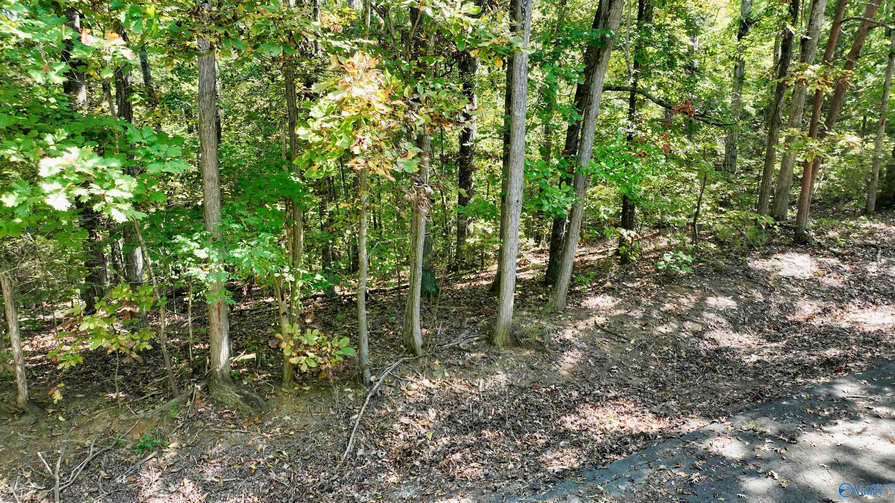 2 Lots Trail Ridge Road, Scottsboro, Alabama image 7