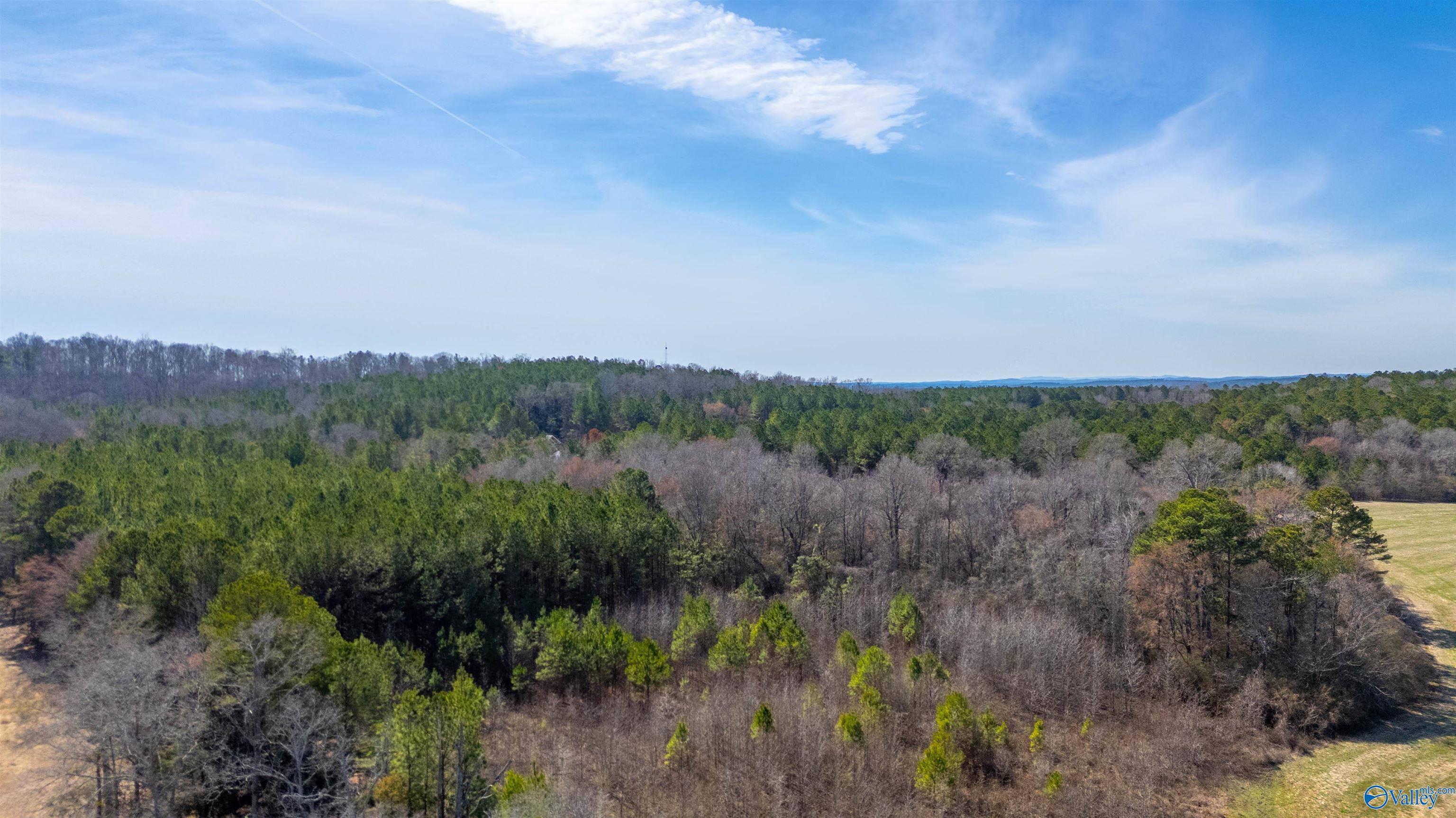 80.14 Acres Brooks Lake Road, Lincoln, Alabama image 4