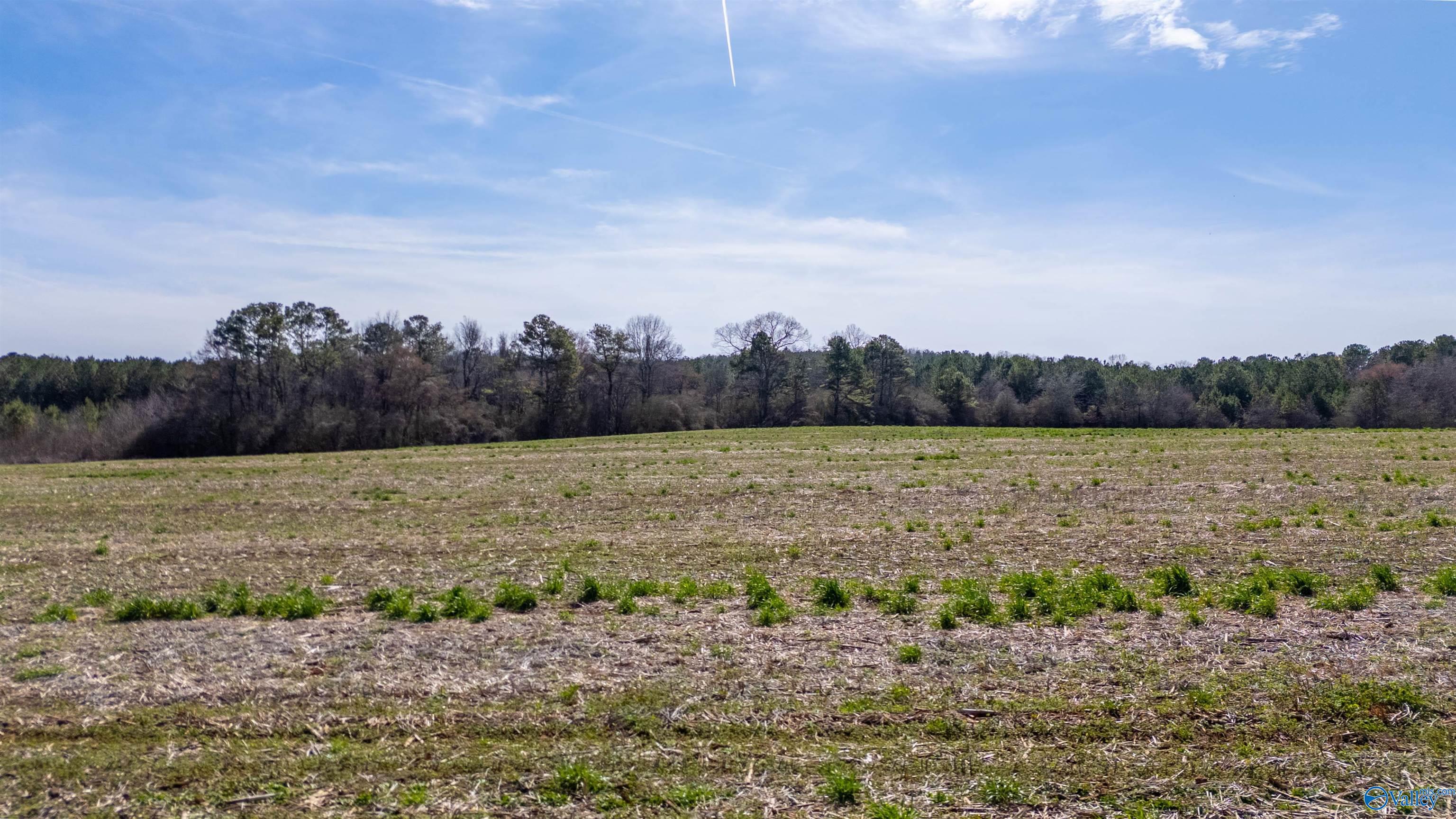 80.14 Acres Brooks Lake Road, Lincoln, Alabama image 8