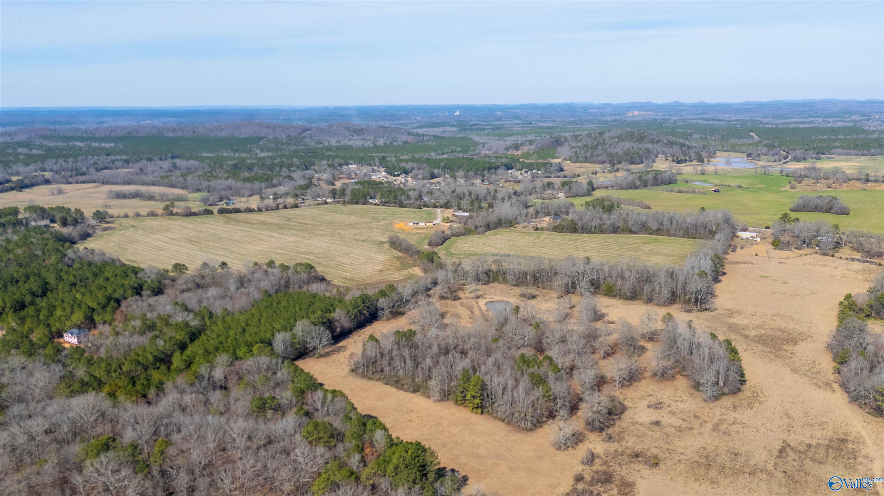 80.14 Acres Brooks Lake Road, Lincoln, Alabama image 6