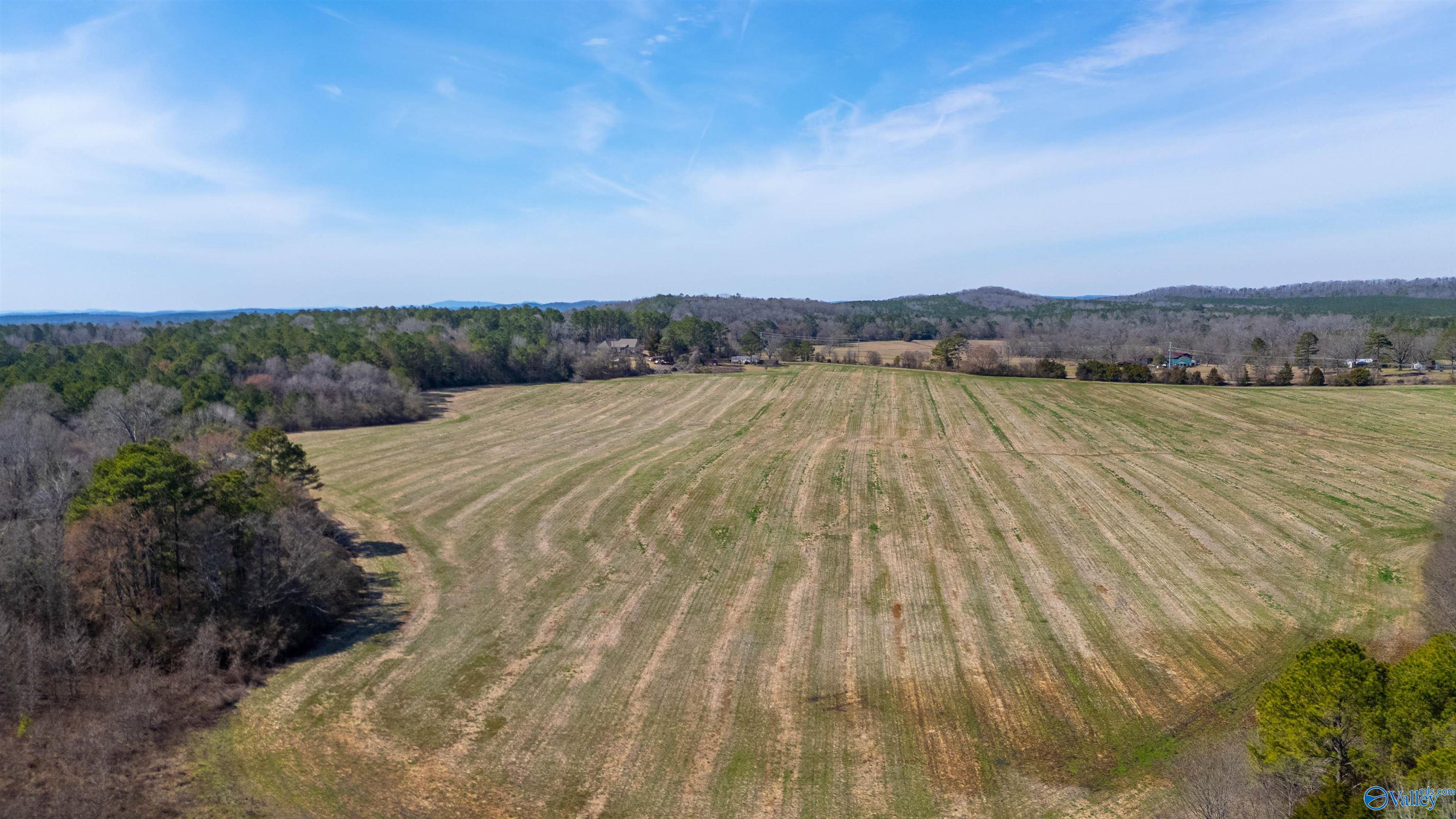 80.14 Acres Brooks Lake Road, Lincoln, Alabama image 3