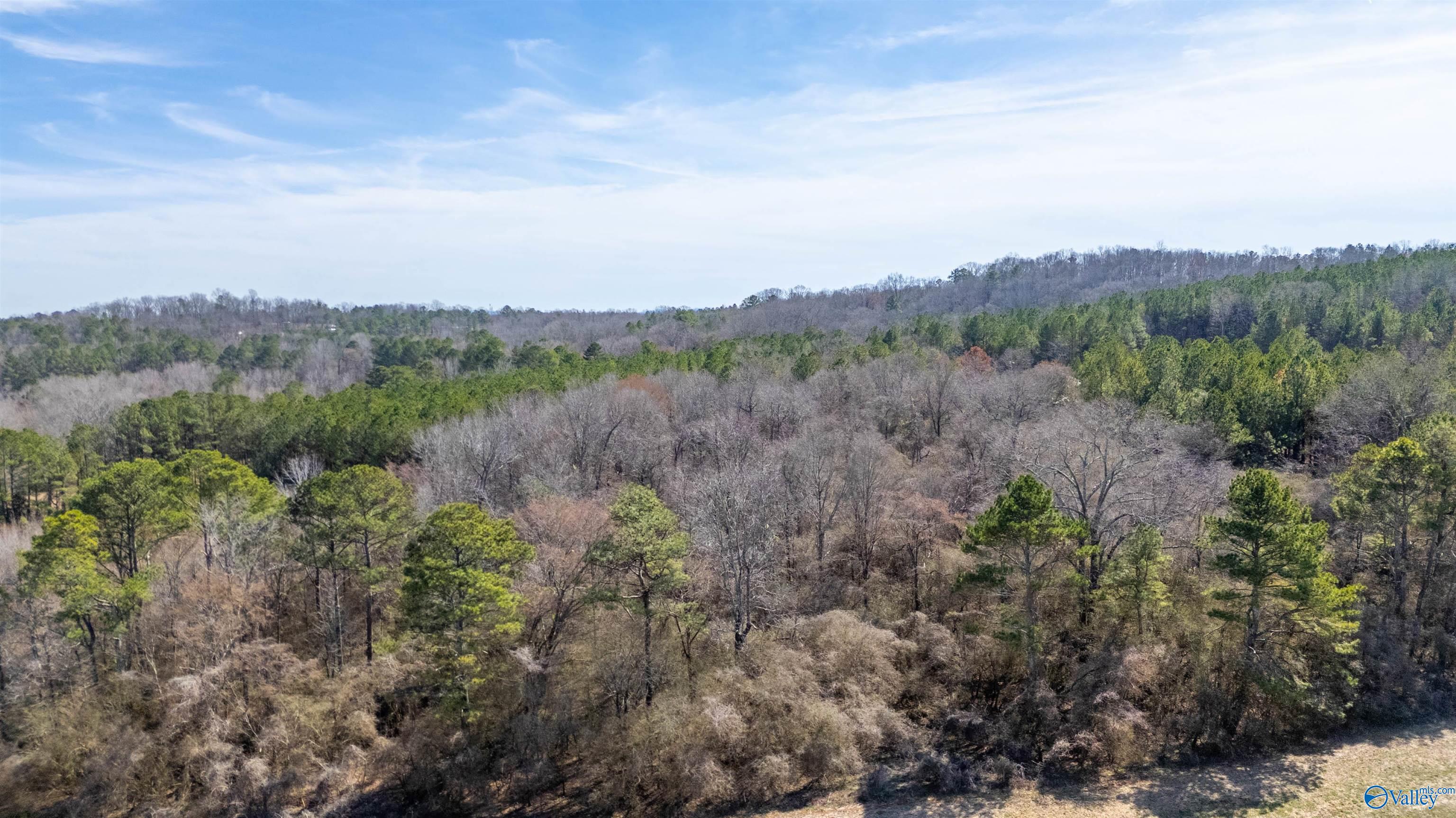 80.14 Acres Brooks Lake Road, Lincoln, Alabama image 9