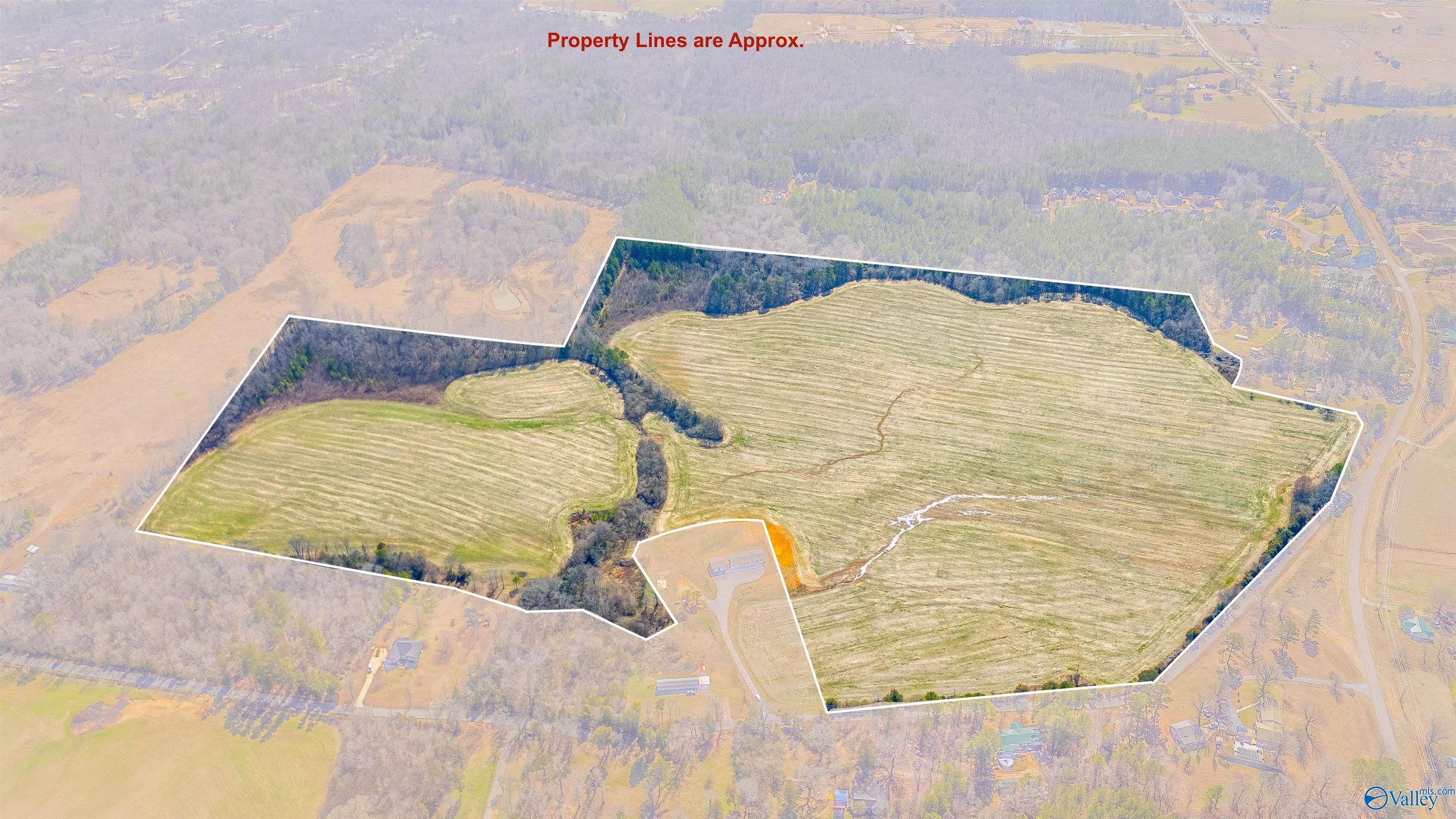 80.14 Acres Brooks Lake Road, Lincoln, Alabama image 12