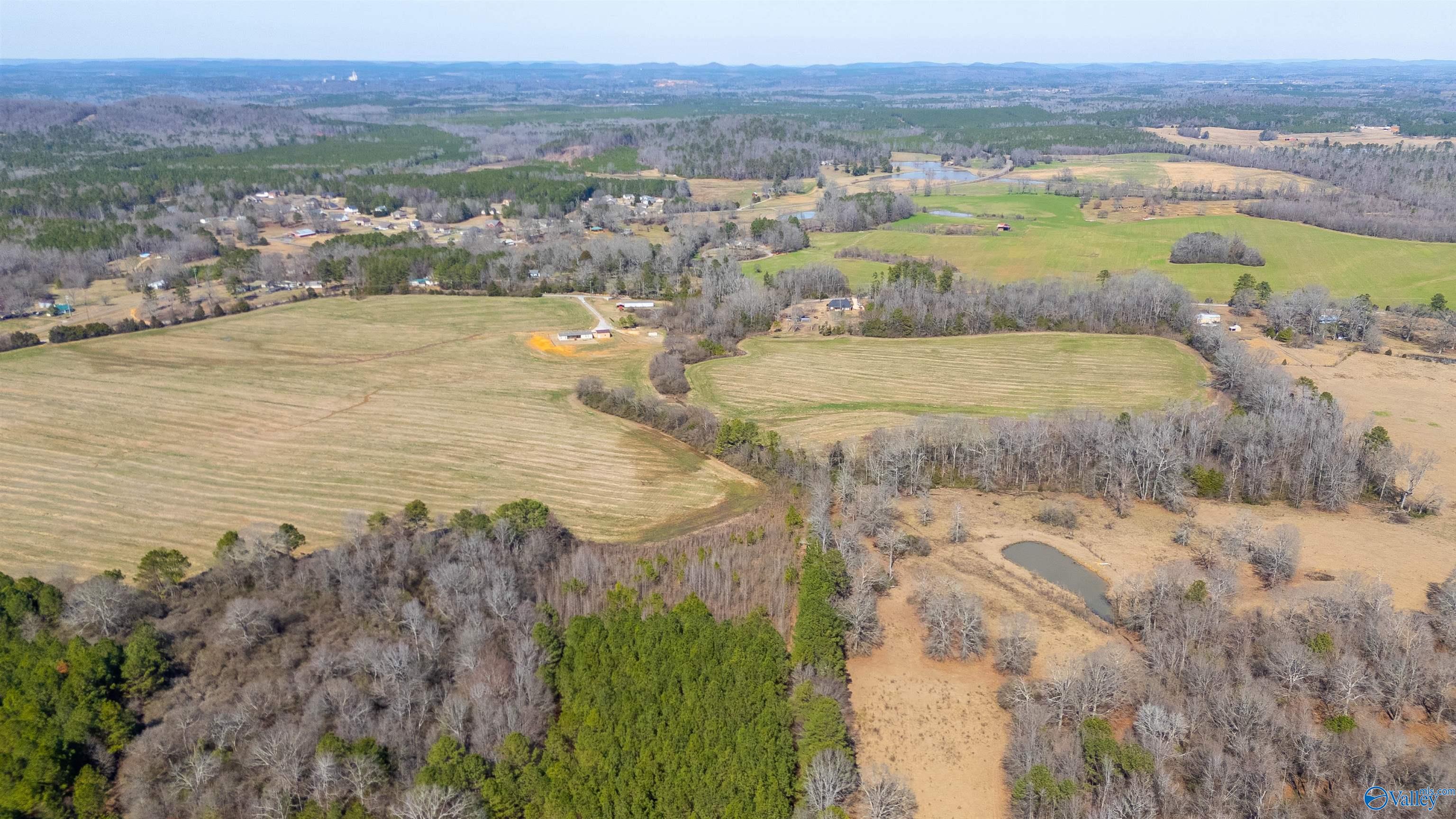 80.14 Acres Brooks Lake Road, Lincoln, Alabama image 5