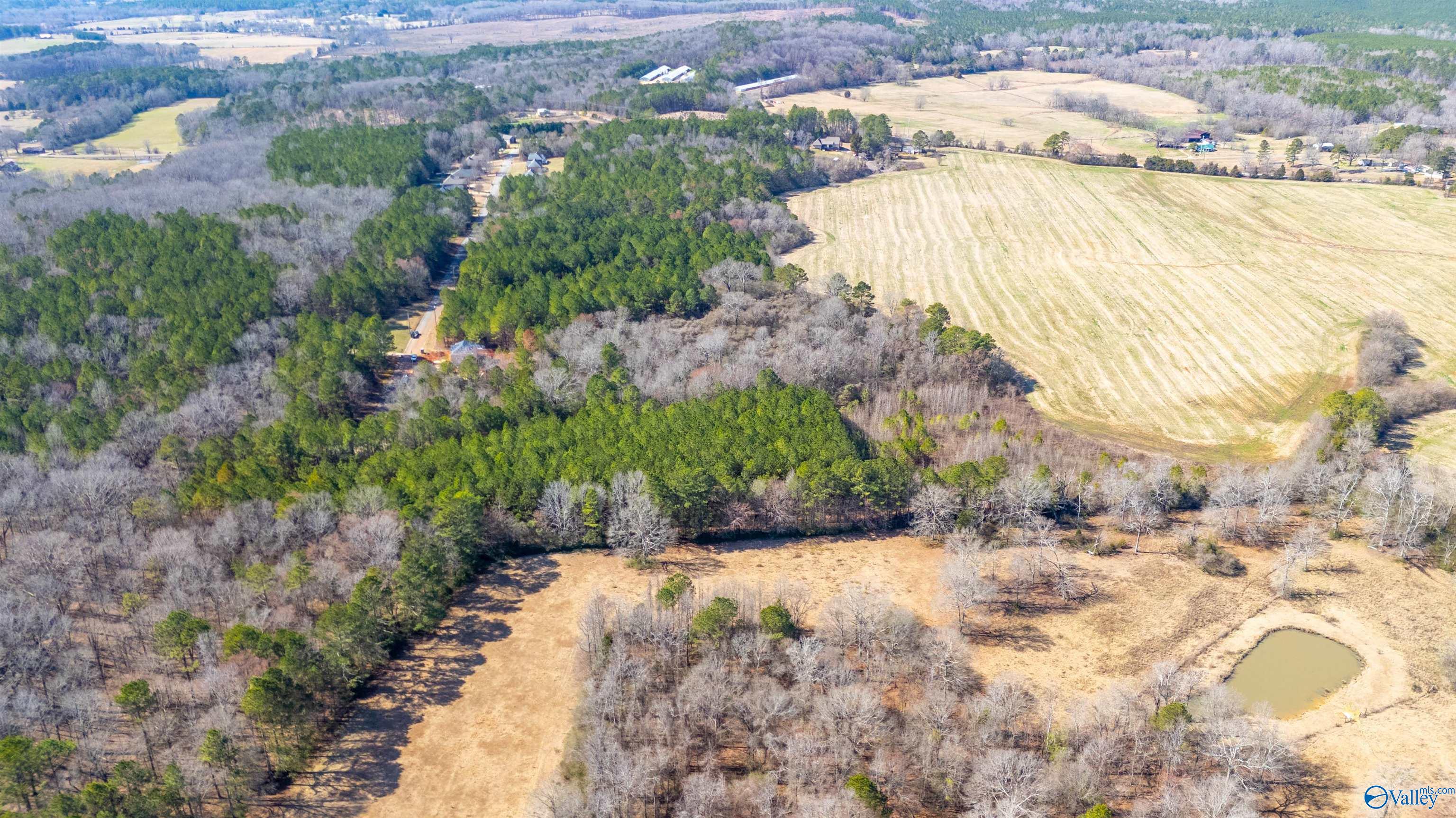 80.14 Acres Brooks Lake Road, Lincoln, Alabama image 7