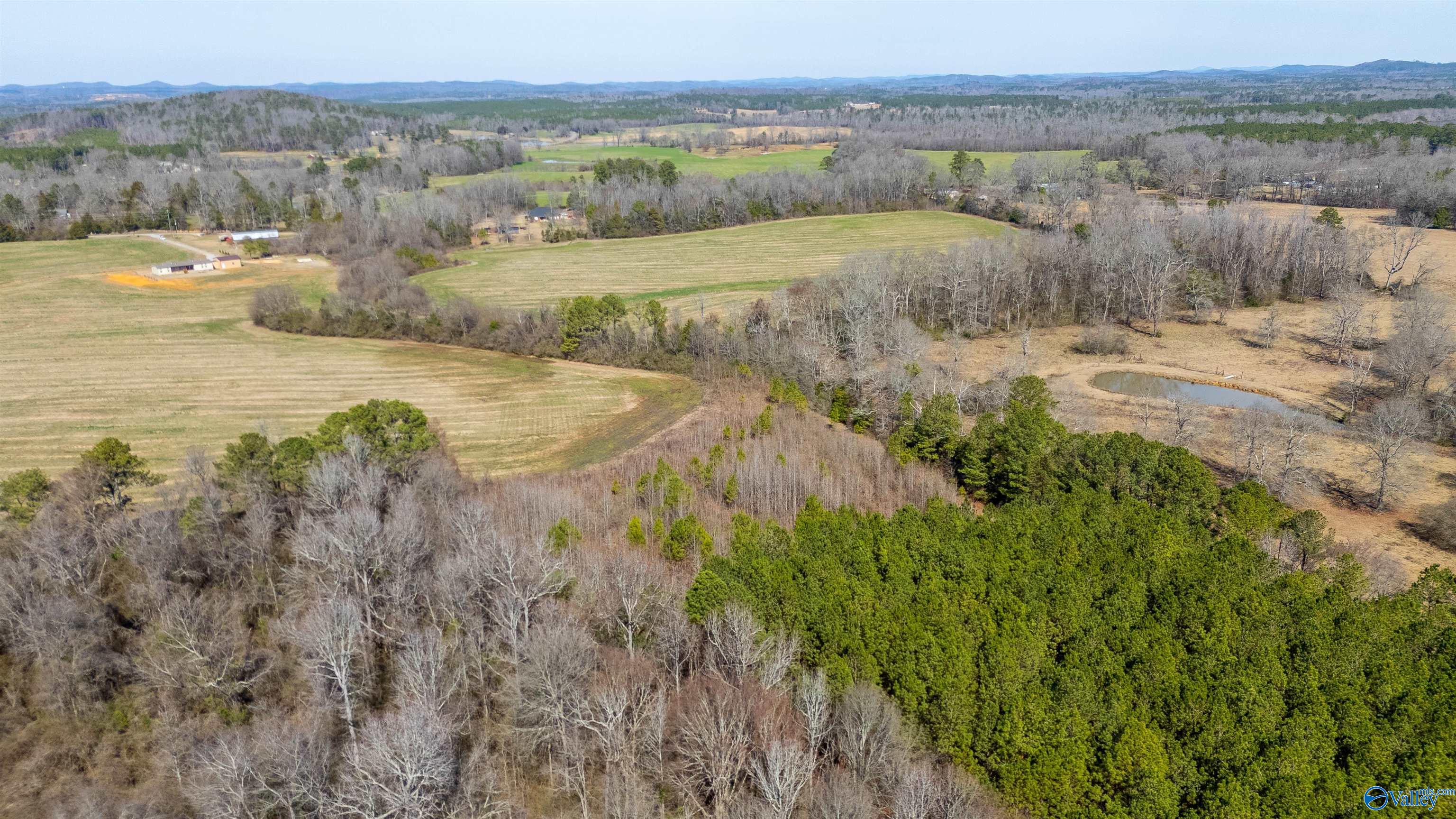 80.14 Acres Brooks Lake Road, Lincoln, Alabama image 10