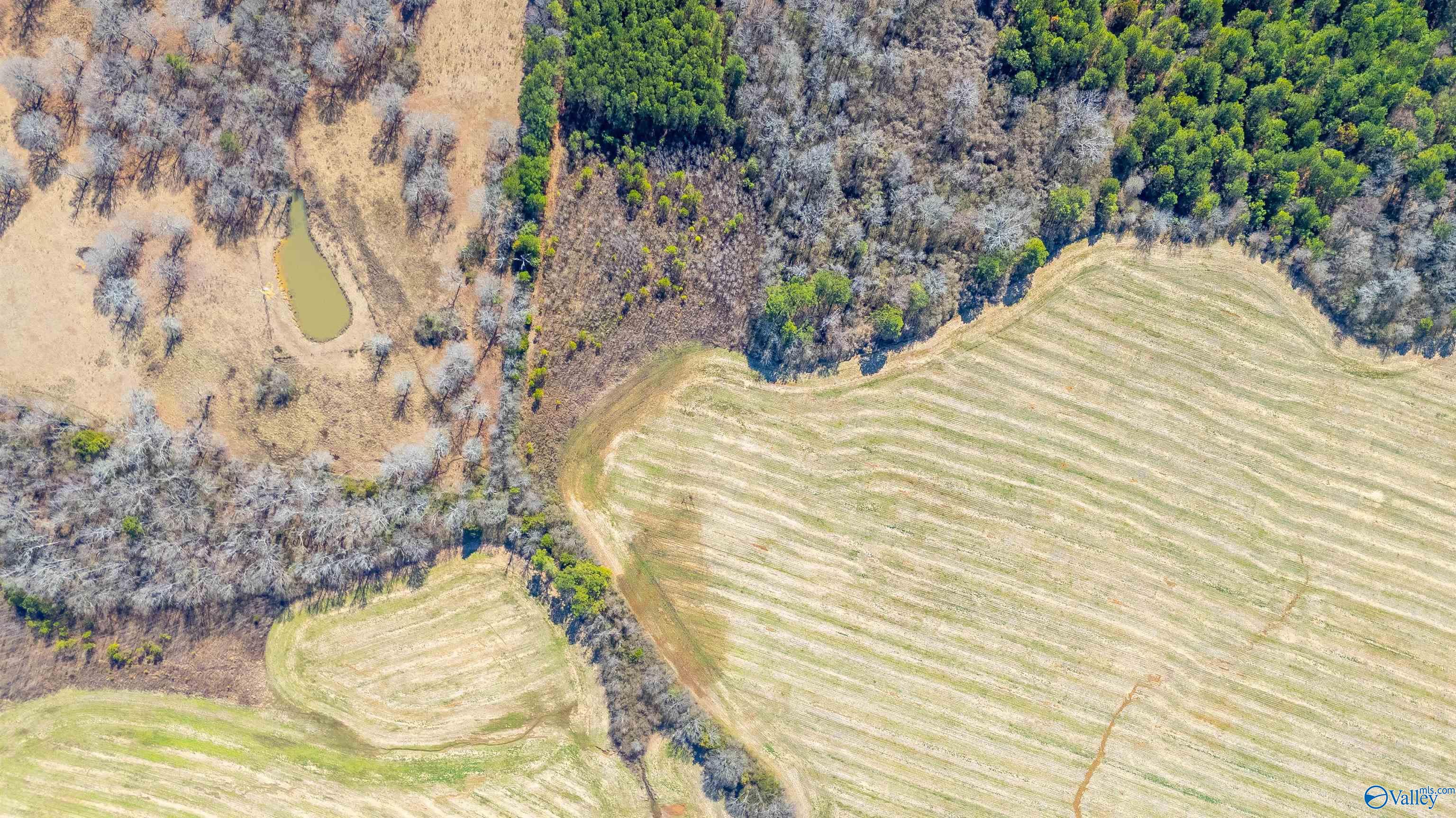 80.14 Acres Brooks Lake Road, Lincoln, Alabama image 11