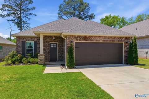 Homes For Sale - 15695 Mizewell Lane<br/> Harvest, AL 35749