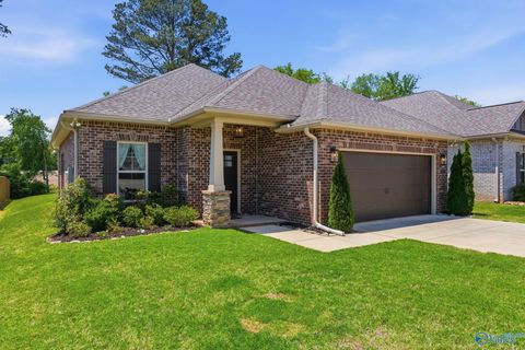 Homes For Sale - 15695 Mizewell Lane<br/> Harvest, AL 35749