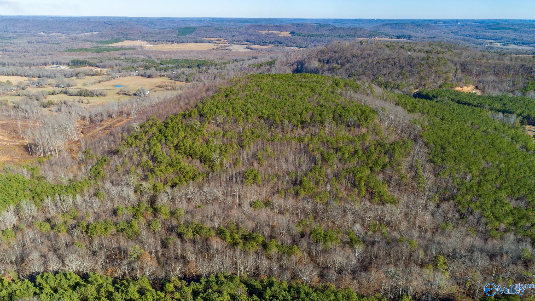 80 Acres Rock Creek Road, Eva, Alabama image 14