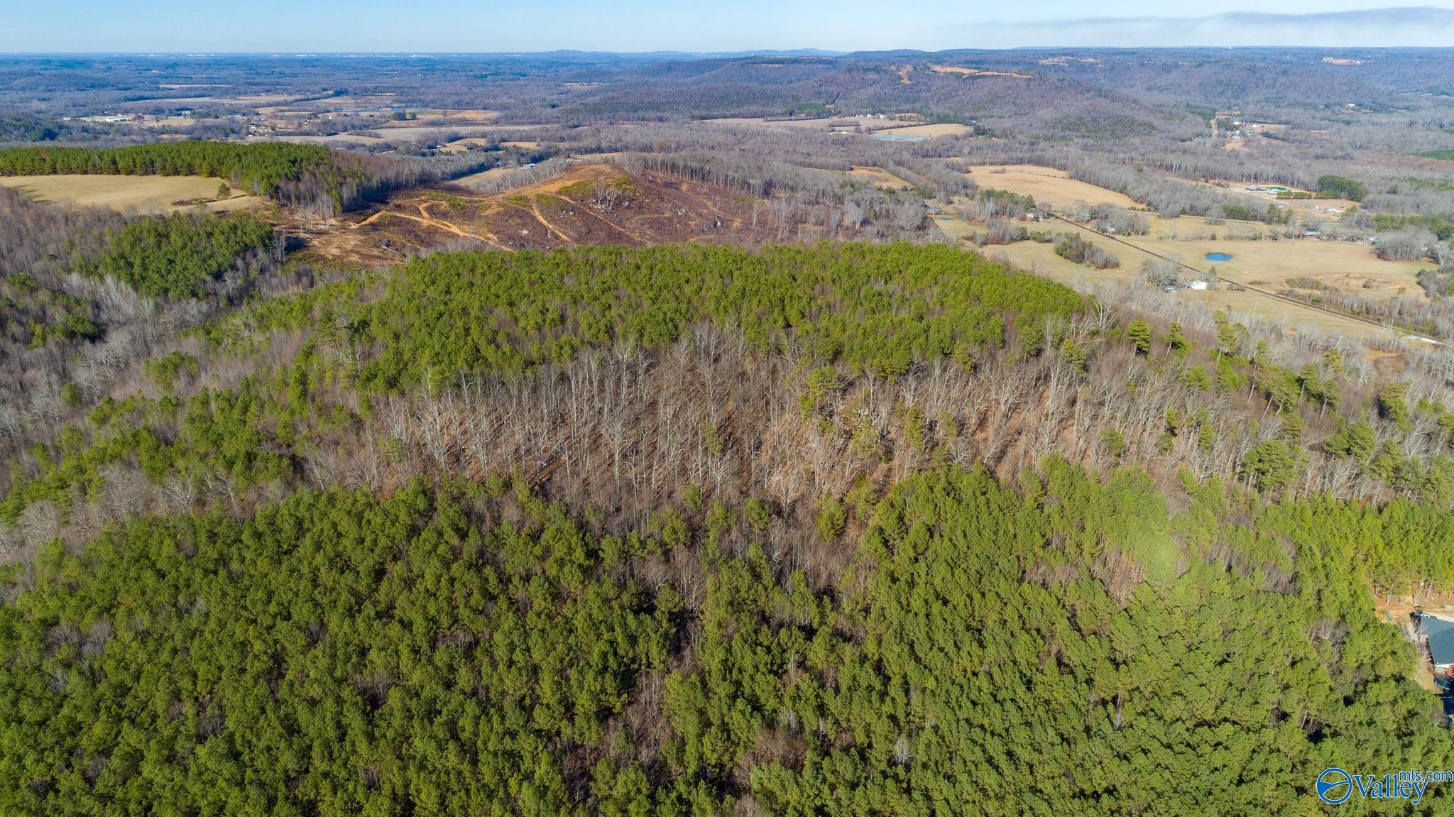 80 Acres Rock Creek Road, Eva, Alabama image 19