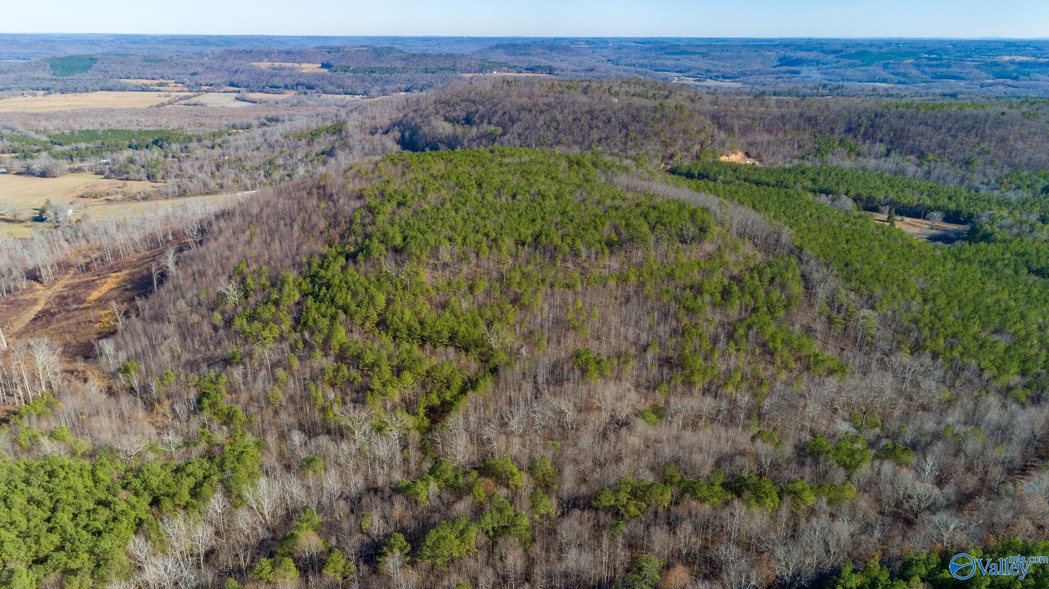 80 Acres Rock Creek Road, Eva, Alabama image 13