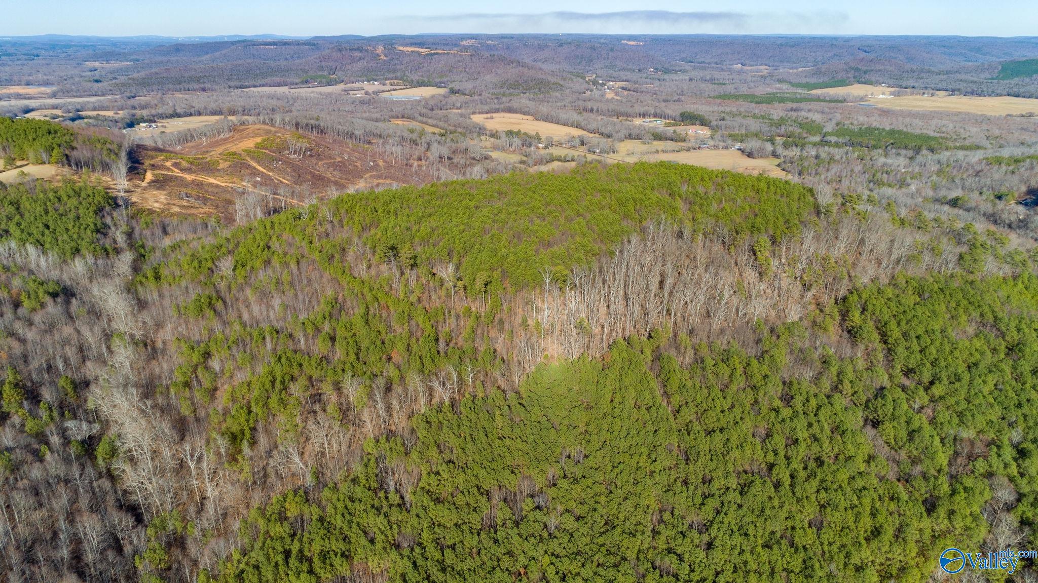 80 Acres Rock Creek Road, Eva, Alabama image 17