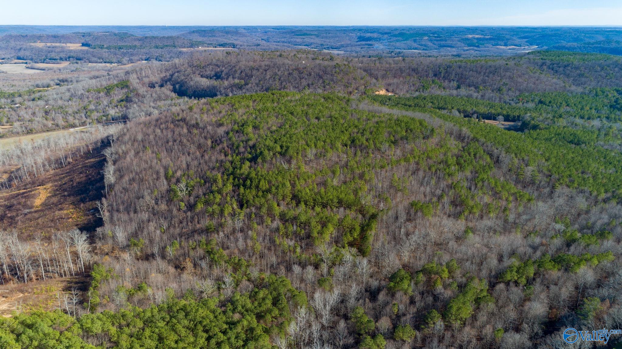 80 Acres Rock Creek Road, Eva, Alabama image 12