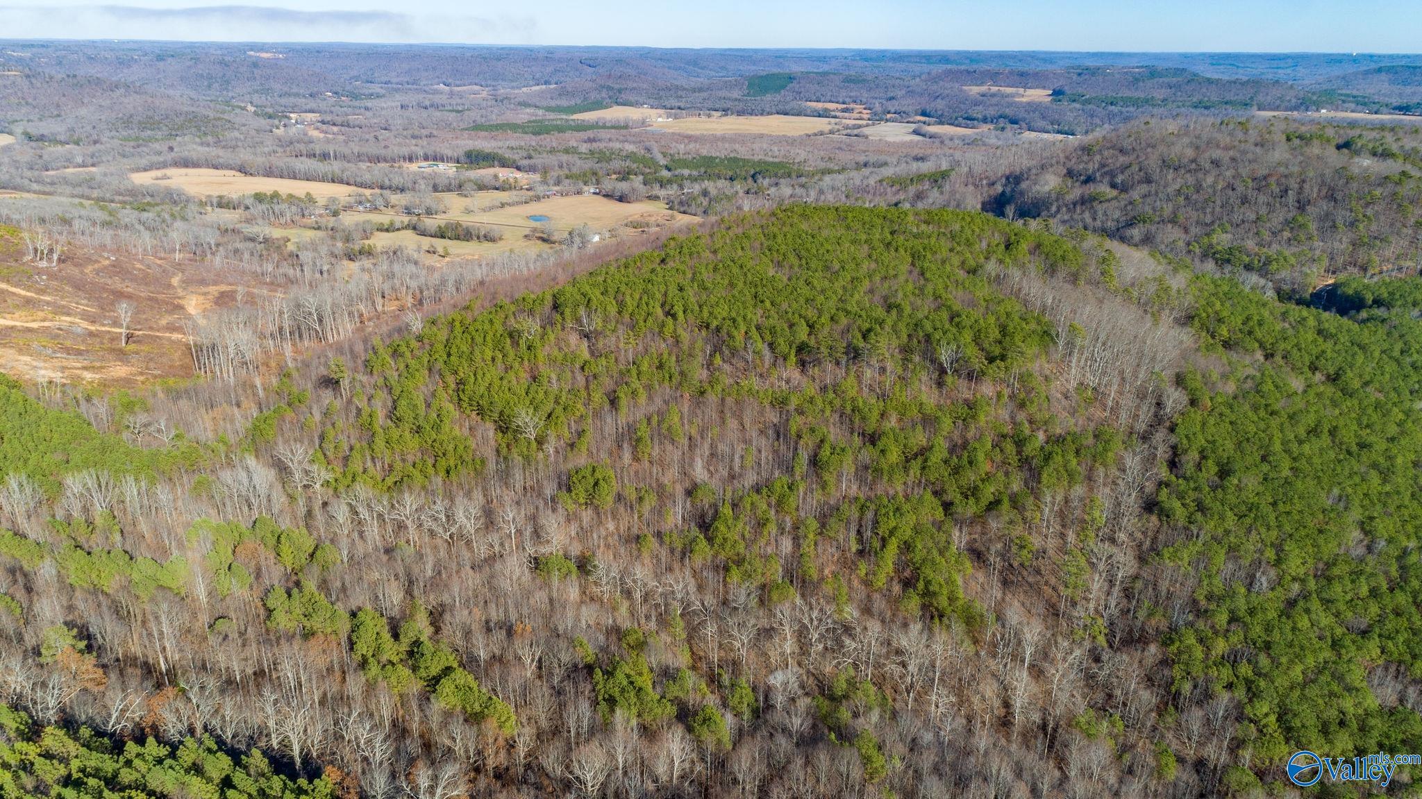 80 Acres Rock Creek Road, Eva, Alabama image 15