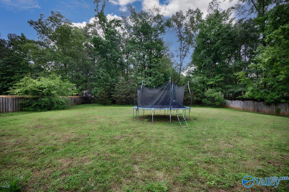 10320 Larkin Drive, Madison, Alabama image 31