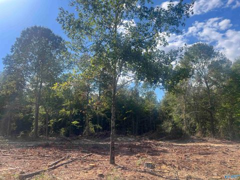 Vacant Land For Sale - LOT 2 TRACT 3 Summer Breeze Drive<br/> Cherokee County, Cedar Bluff, AL 35959