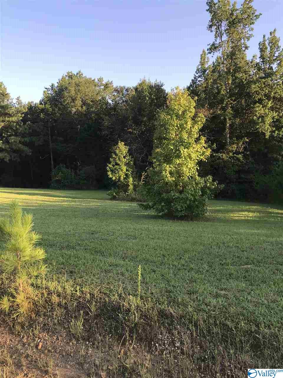 Lot 30 County Road 279, Moulton, Alabama image 8