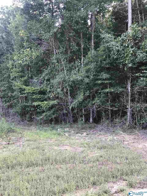 Vacant Land For Sale - LOT 30 County Road 279<br/> Moulton, AL 35650