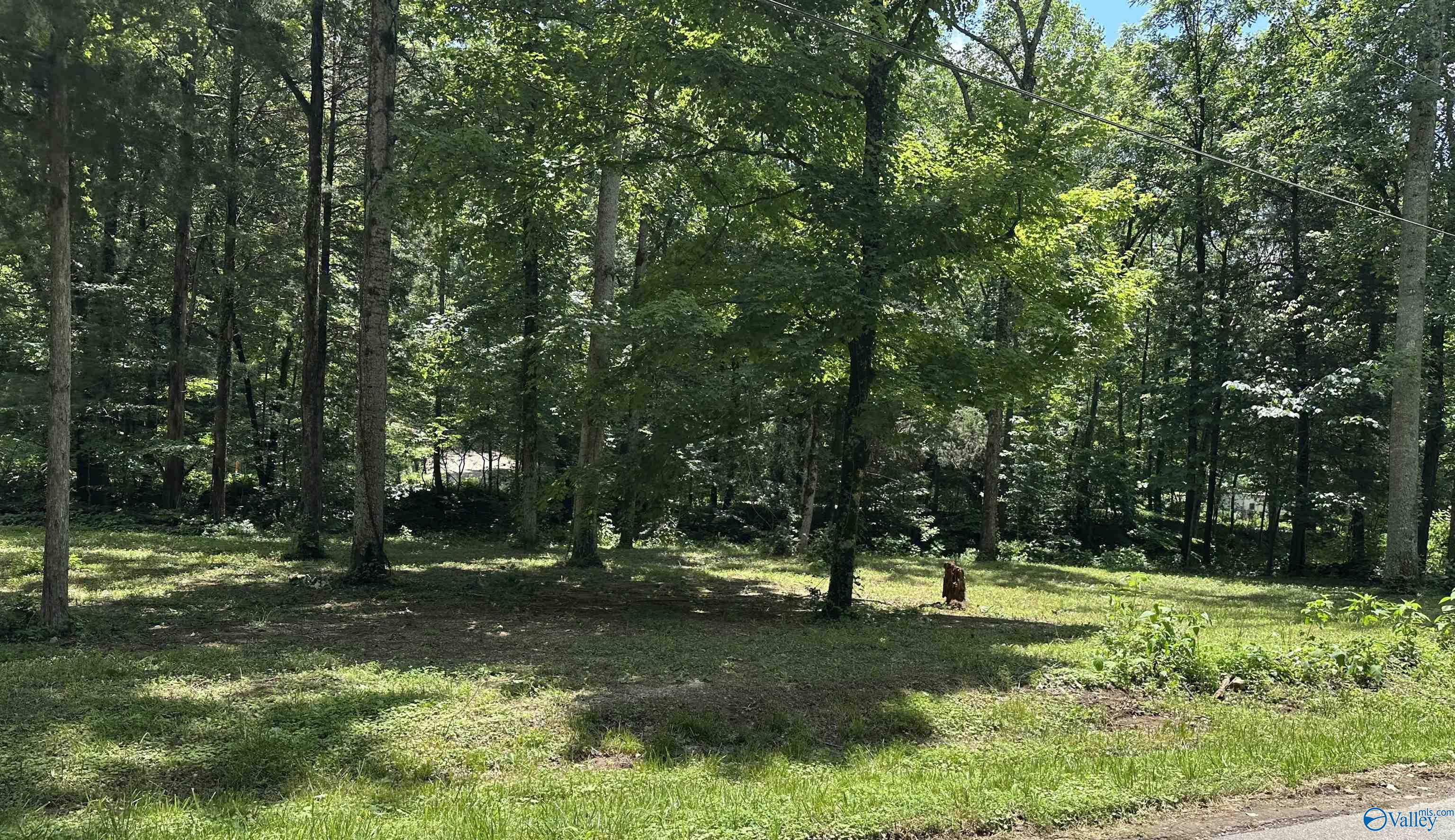 159 Blowing Cave Road, Gurley, Alabama image 21