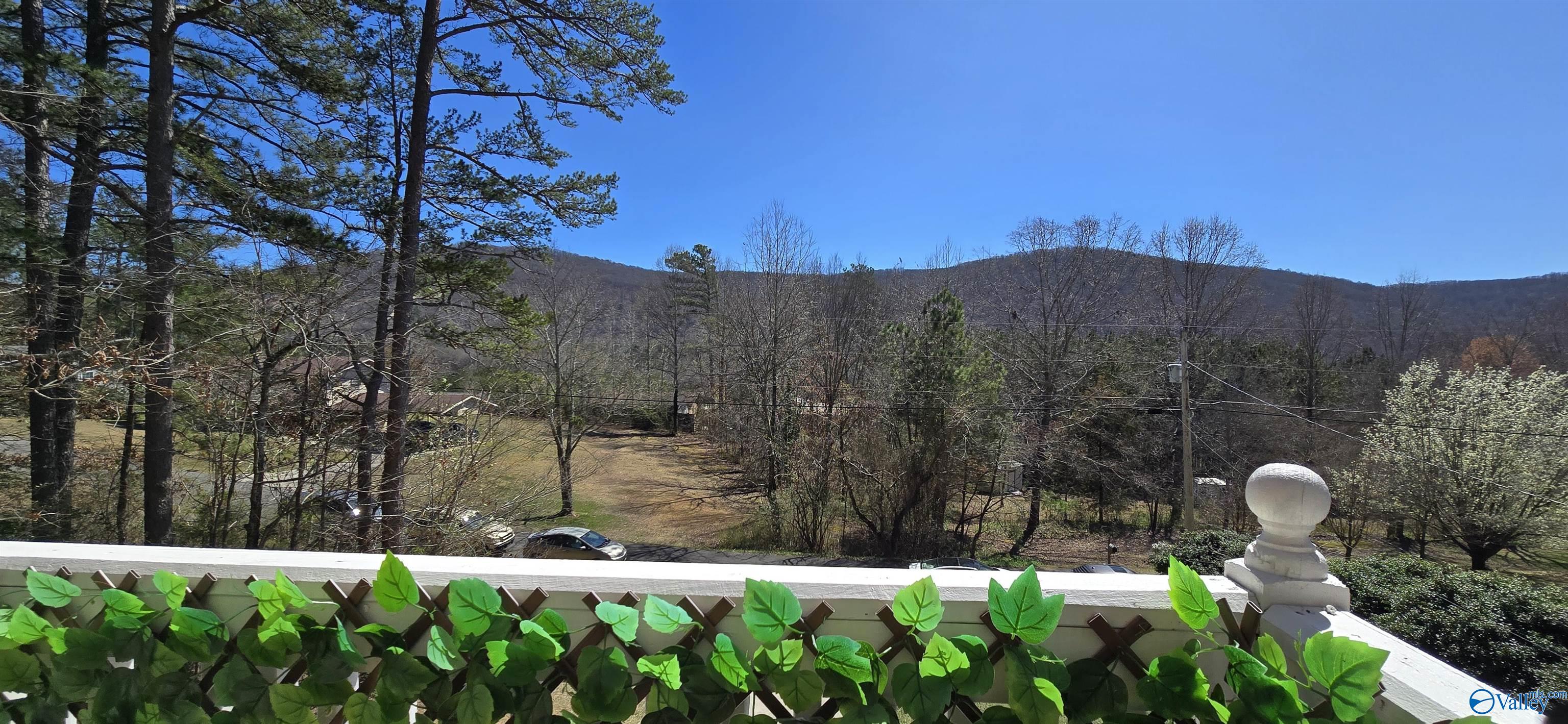 4062 Plains Avenue, Fort Payne, Alabama image 28