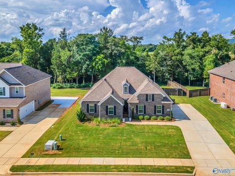 Homes For Sale - 309 Creek Grove Avenue<br/> New Market, AL 35761