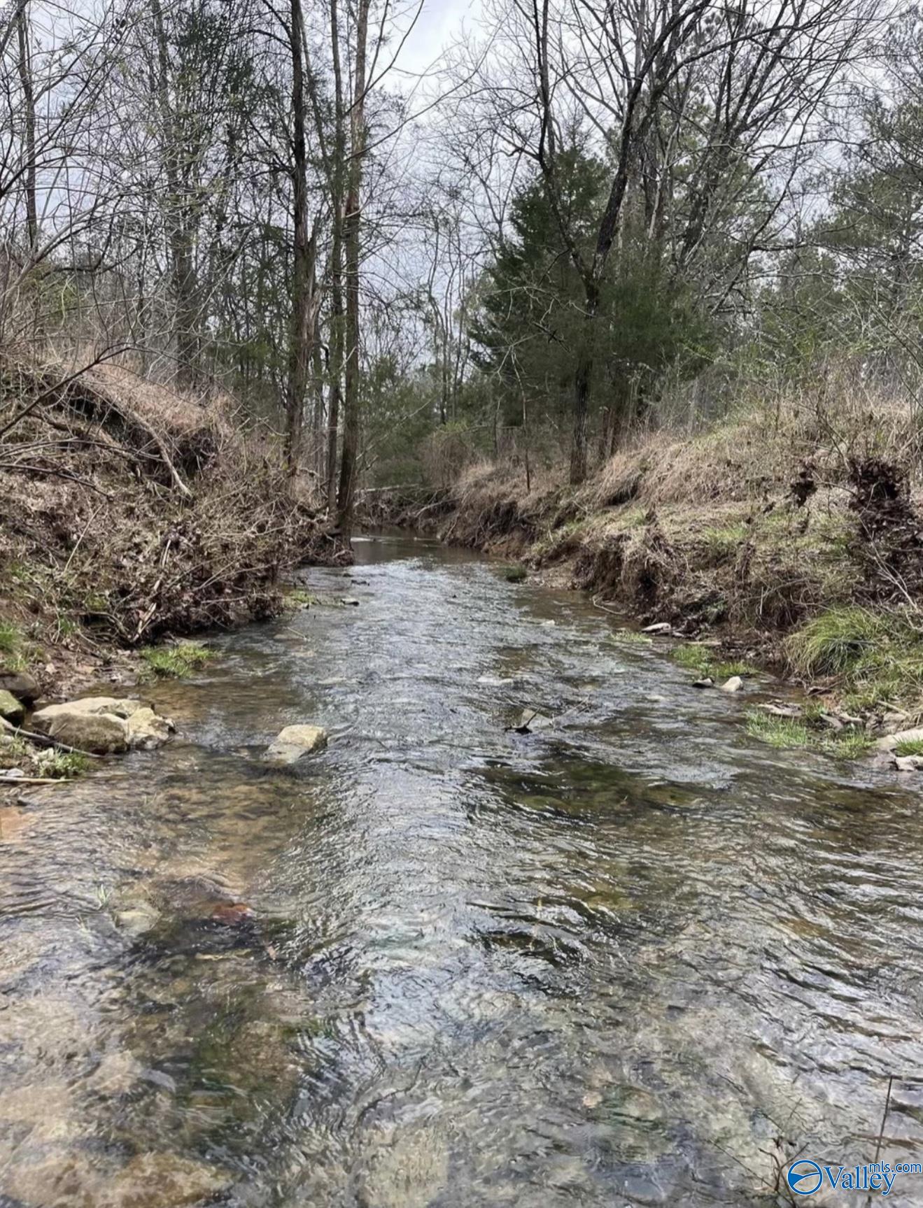 5 Acres County Road 59, Moulton, Alabama image 5