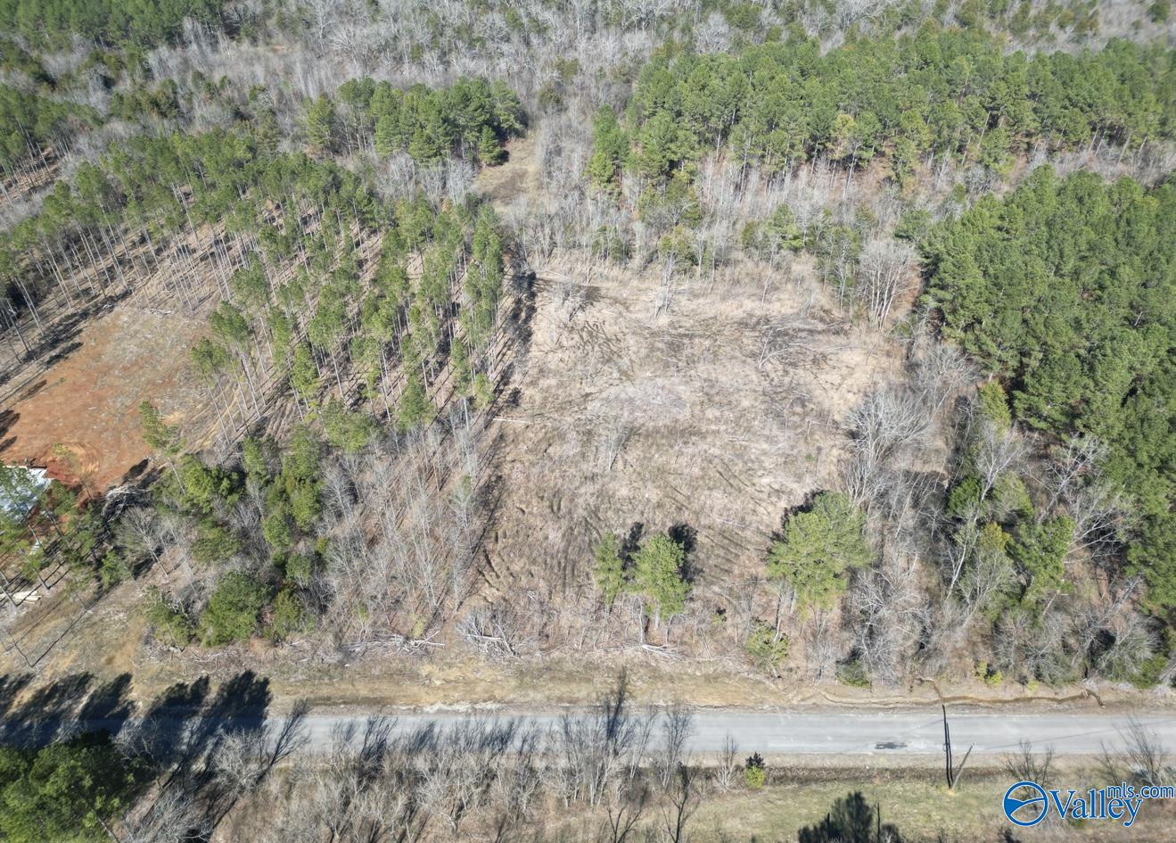5 Acres County Road 59, Moulton, Alabama image 3