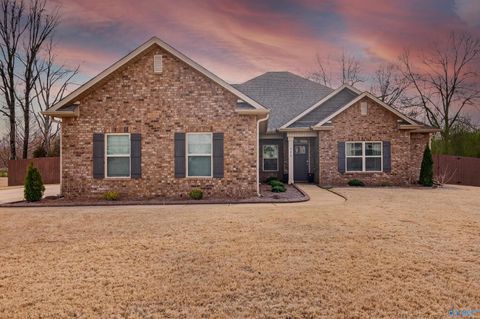 Homes For Sale - 132 Perdido Bay Drive<br/> Huntsville, AL 35811