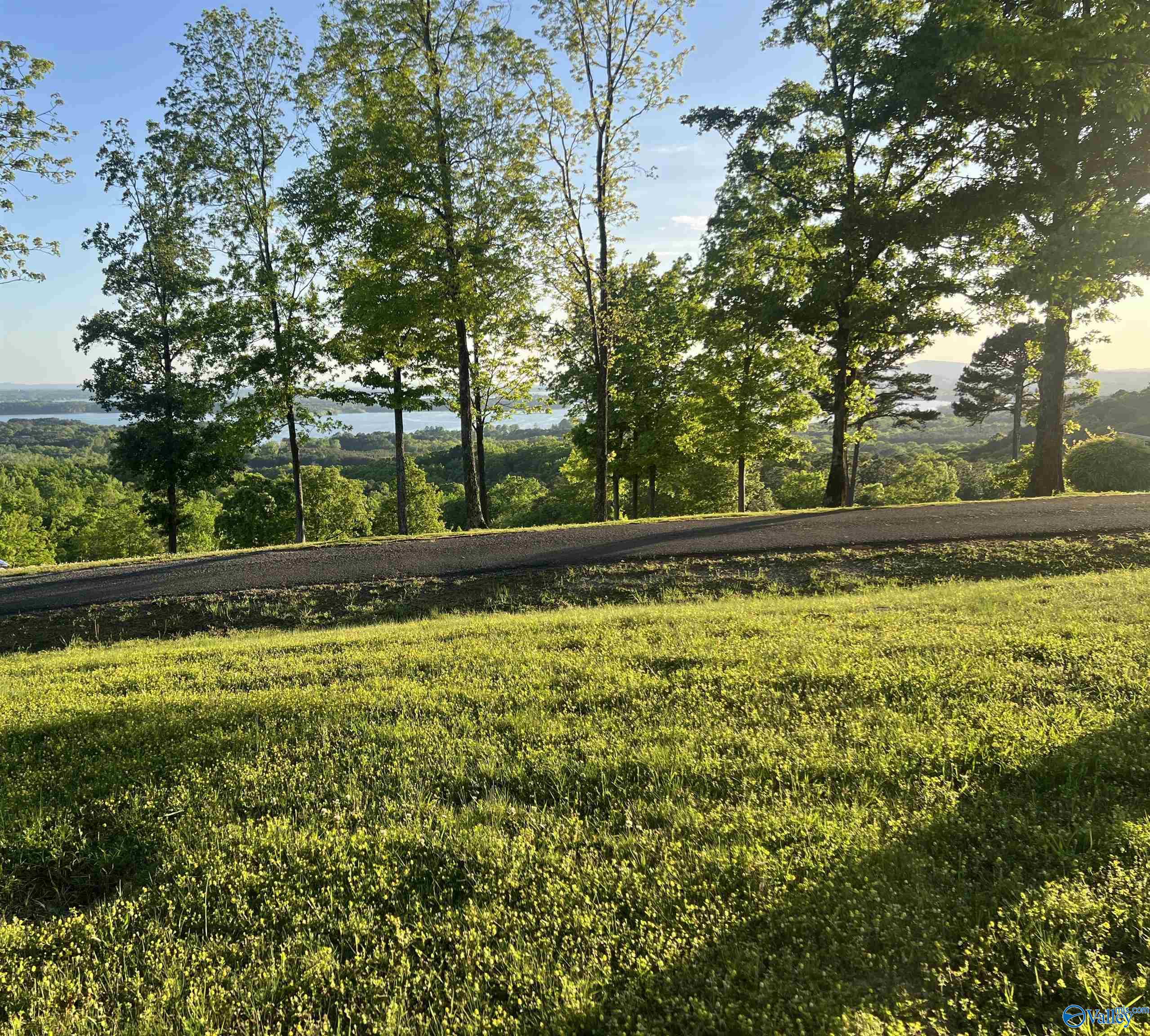 Lot 21 County Road 1015