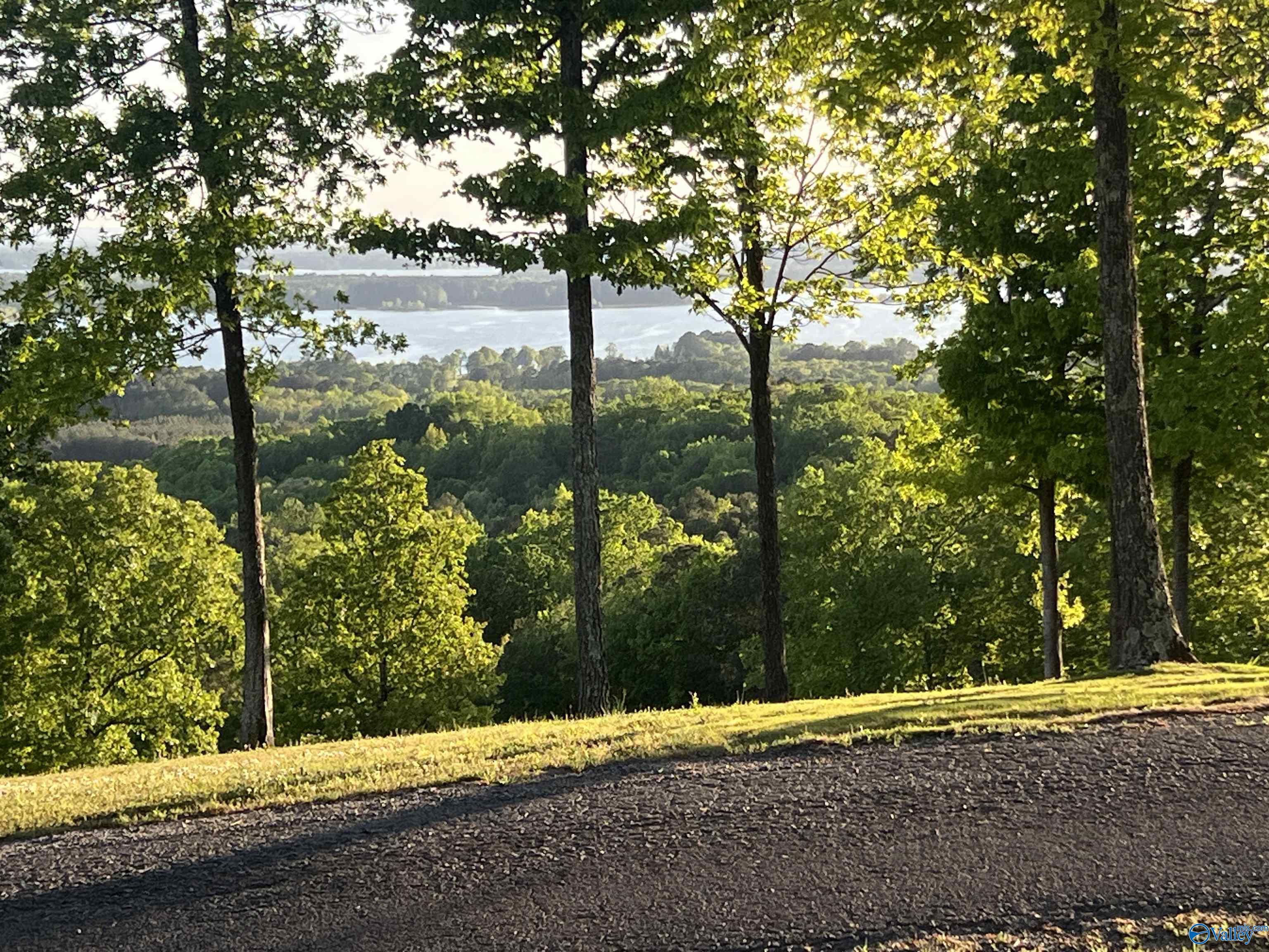 Lot 21 County Road 1015