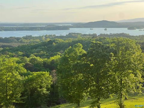 Lot 21 County Road 1015 Cedar Bluff AL 35959