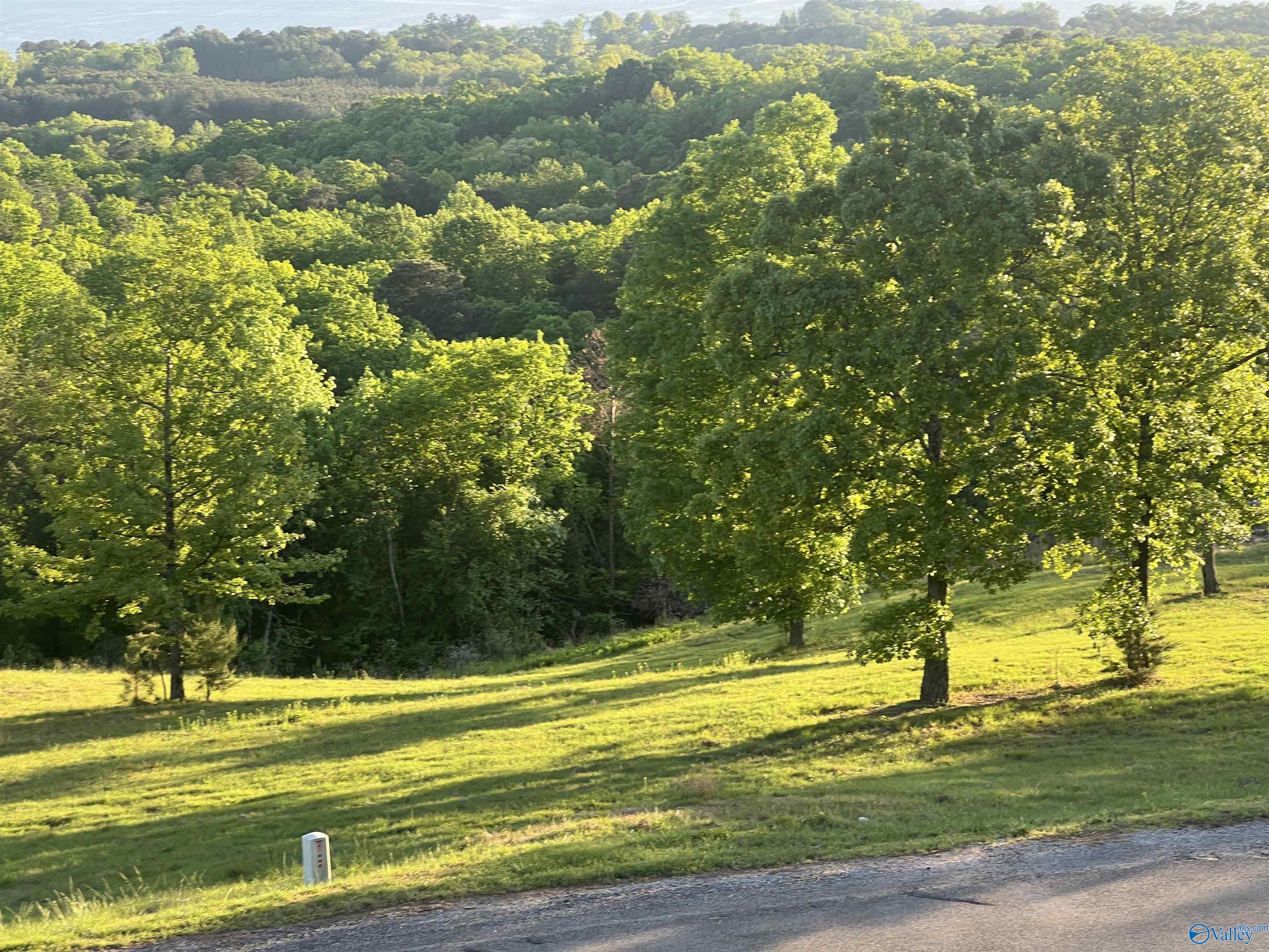 Lot 21 County Road 1015
