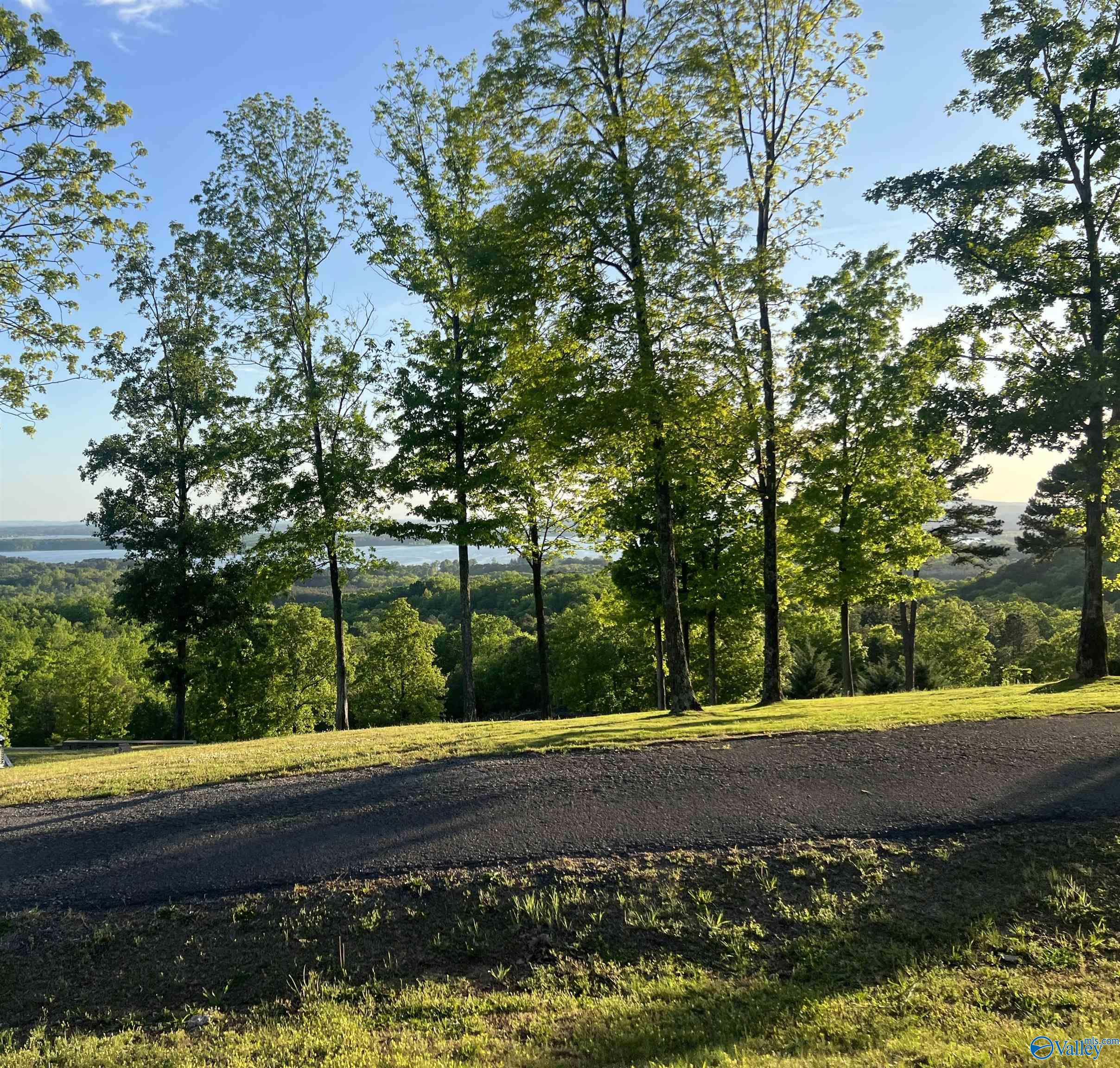 Lot 21 County Road 1015