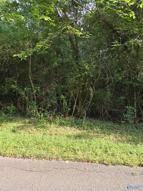 Vacant Land For Sale - 991 Laurel Street<br/> Decatur, AL 35603