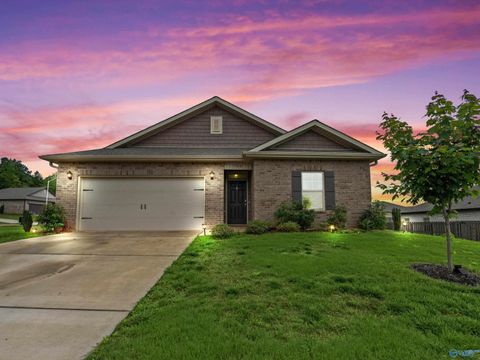 Photo of 146 Oak Fletcher Drive, Harvest, AL 35749 (MLS # 21919391)