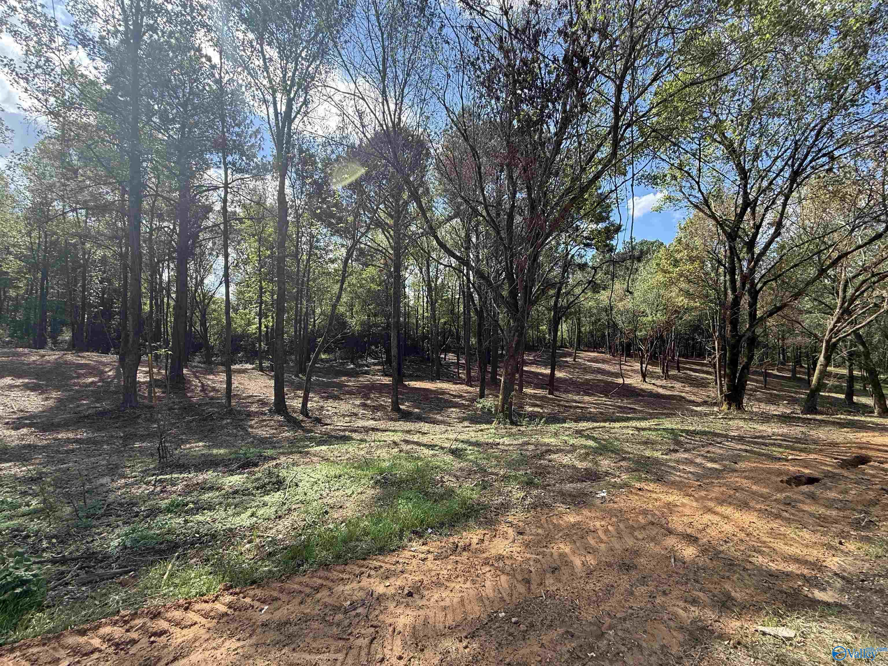 #1A County Road 1123