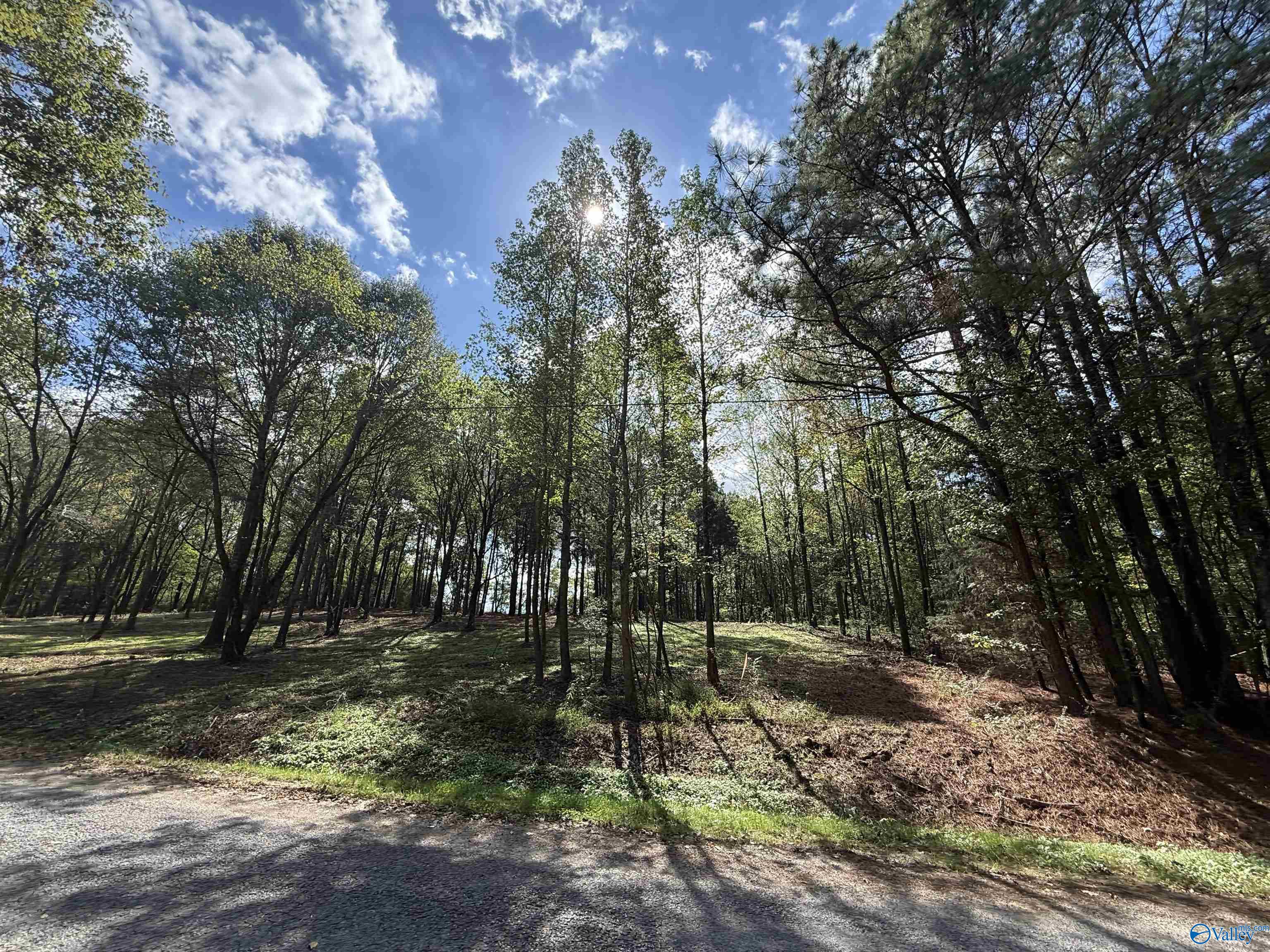 Photo 1 of 3 — #1A County Road 1123, Vinemont, AL 35179