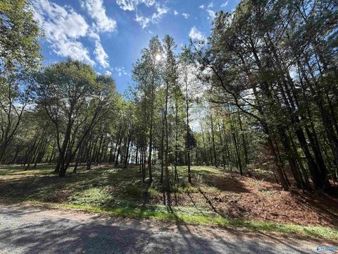 Vacant Land For Sale - #1A County Road 1123<br/> Vinemont, AL 35179