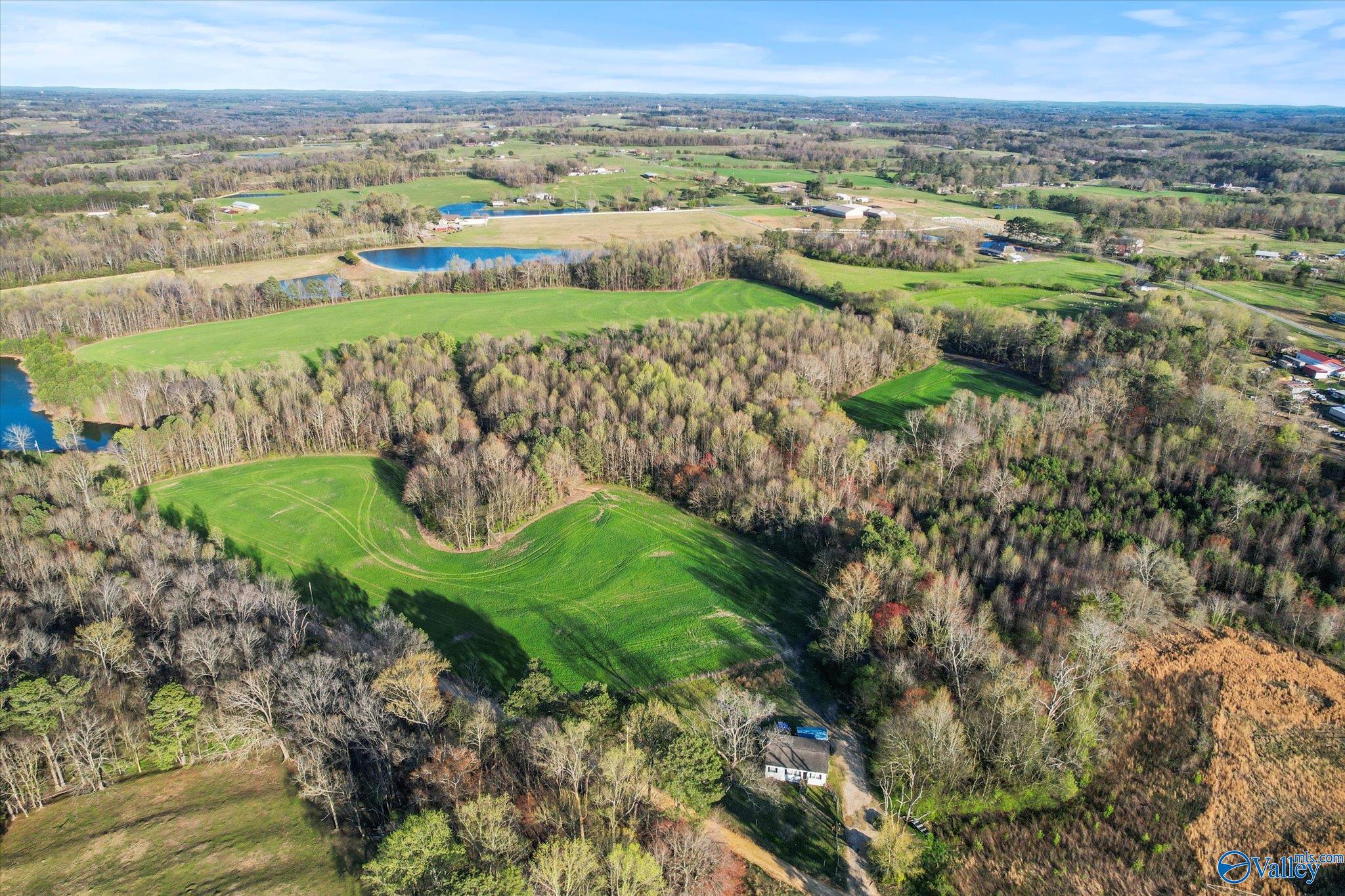 30 Acres County Road 1908, Albertville, Alabama image 12