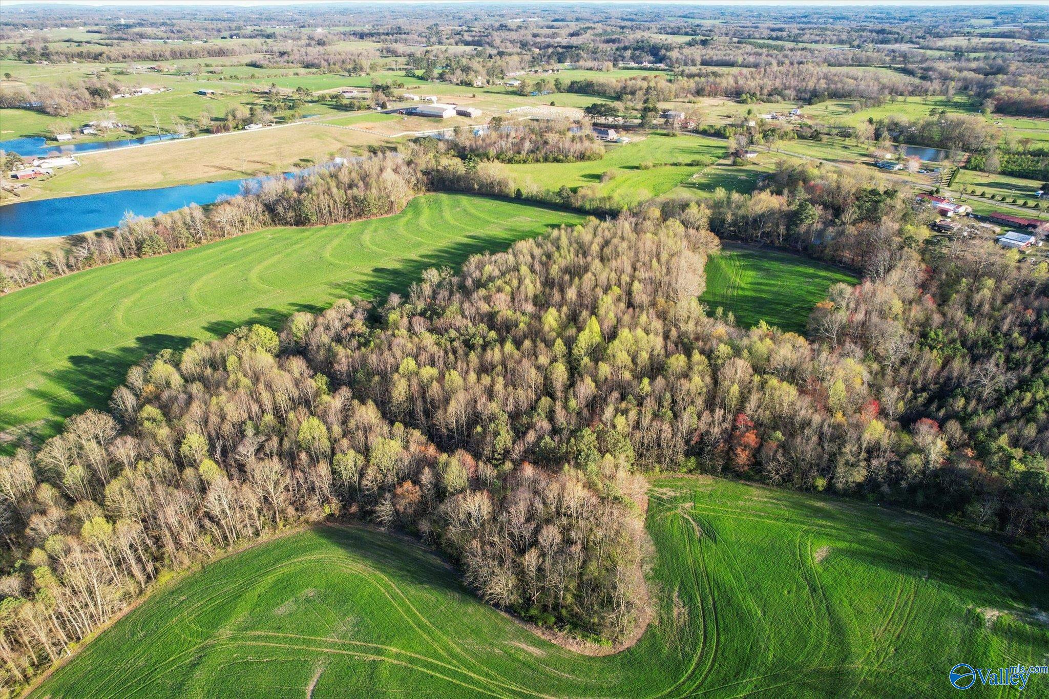 30 Acres County Road 1908, Albertville, Alabama image 15