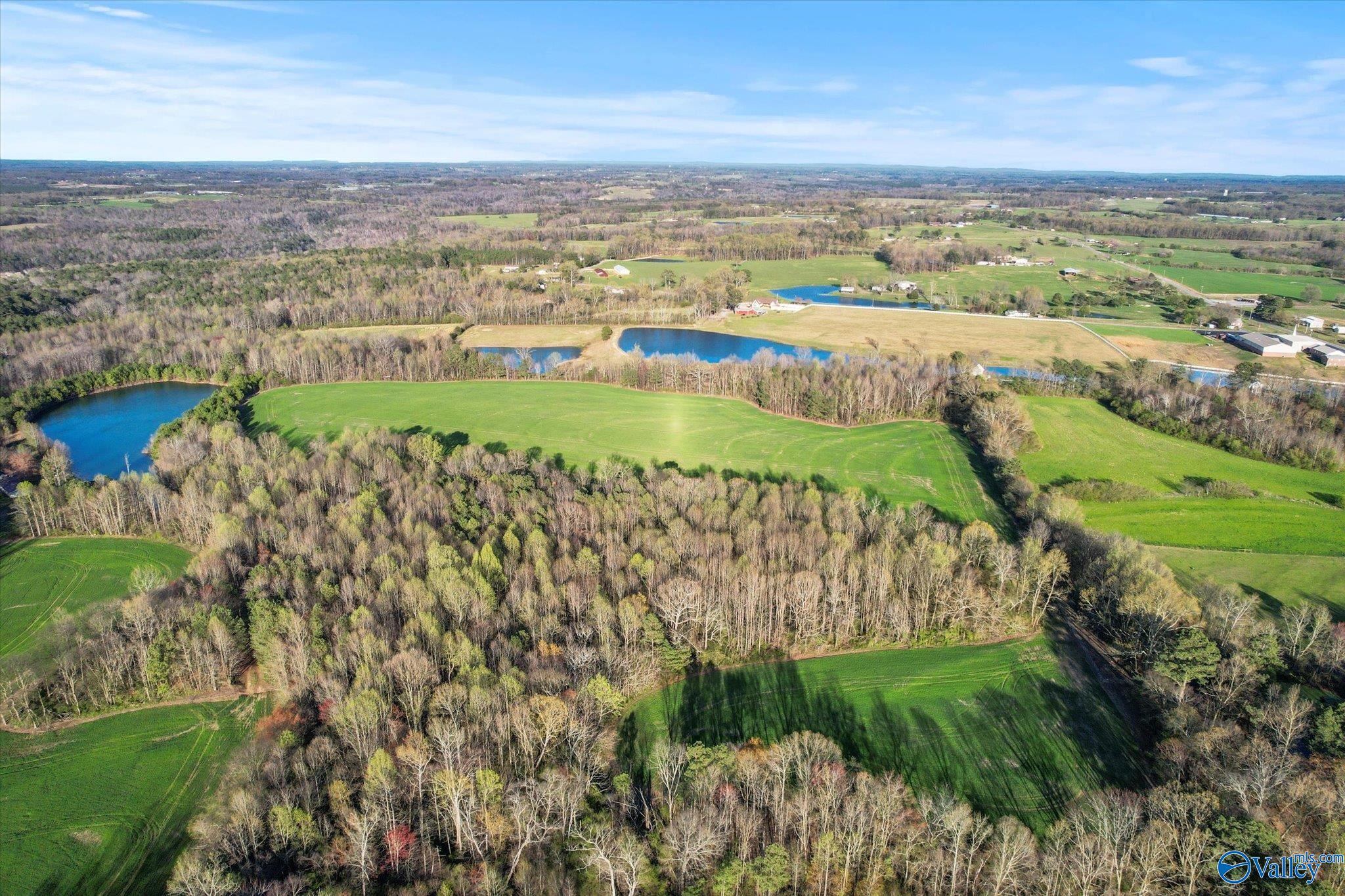 30 Acres County Road 1908, Albertville, Alabama image 3
